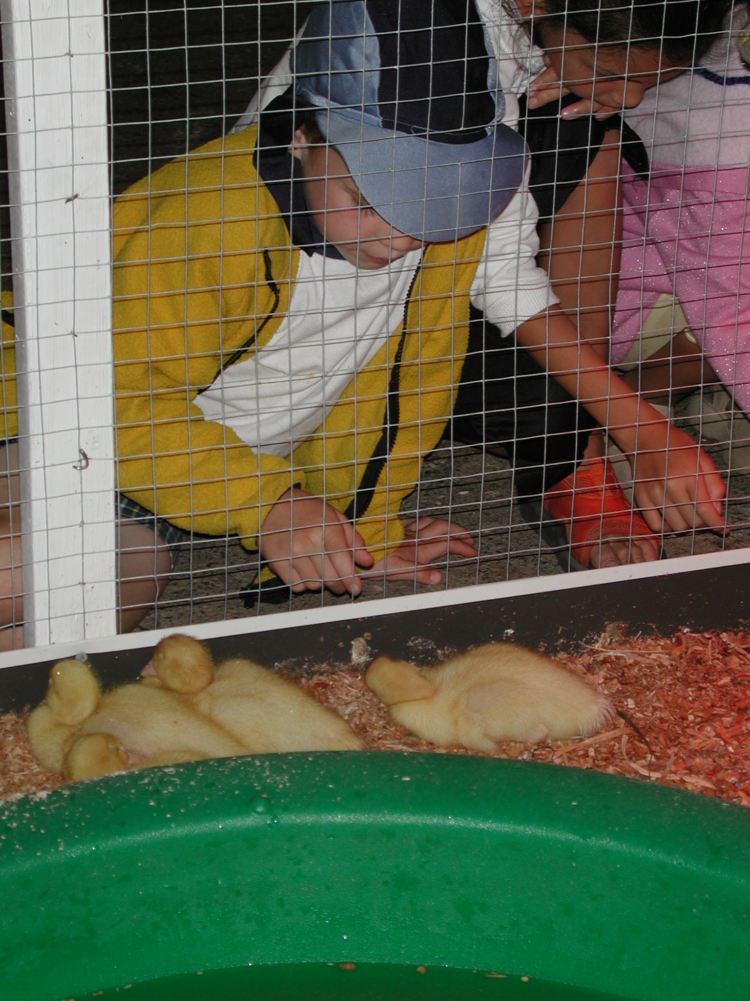 DSCN2137.JPG, 695843 bytes, 8/28/01