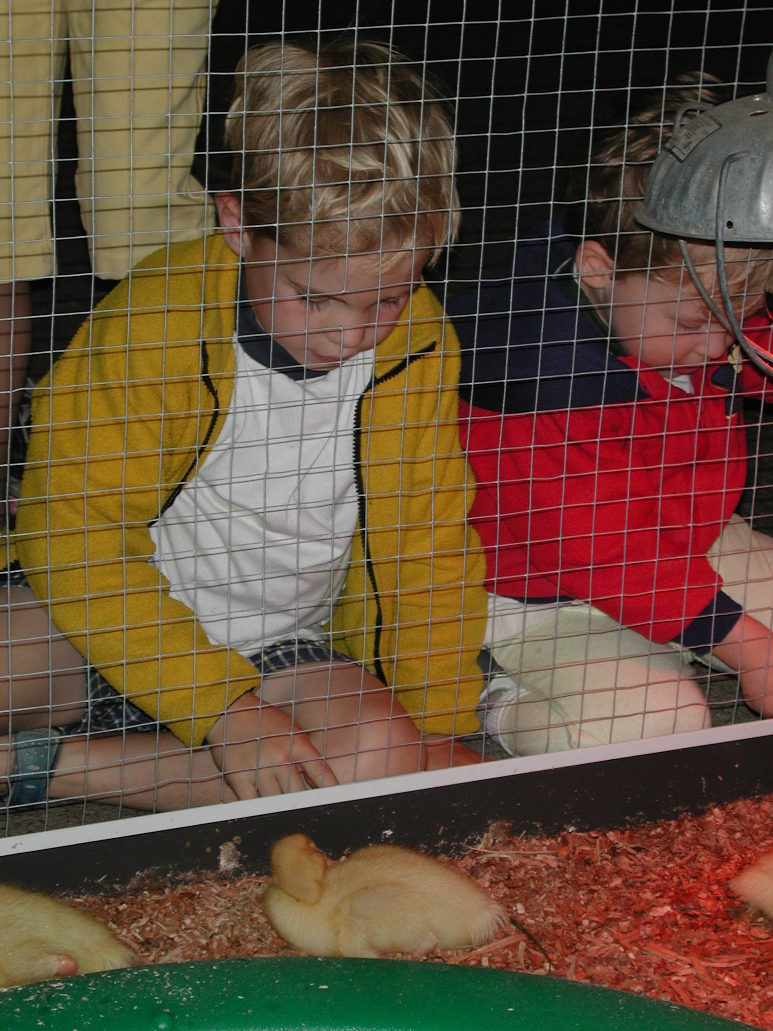 DSCN2138.JPG, 670702 bytes, 8/28/01