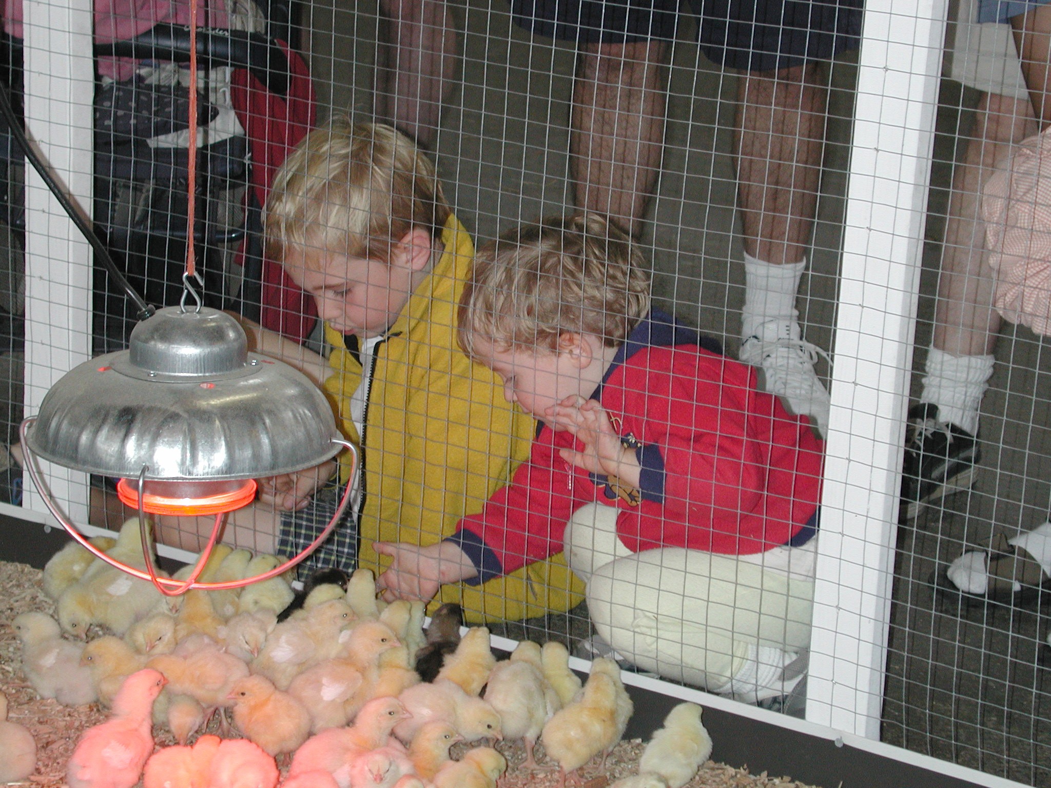 DSCN2140.JPG, 761610 bytes, 9/03/01