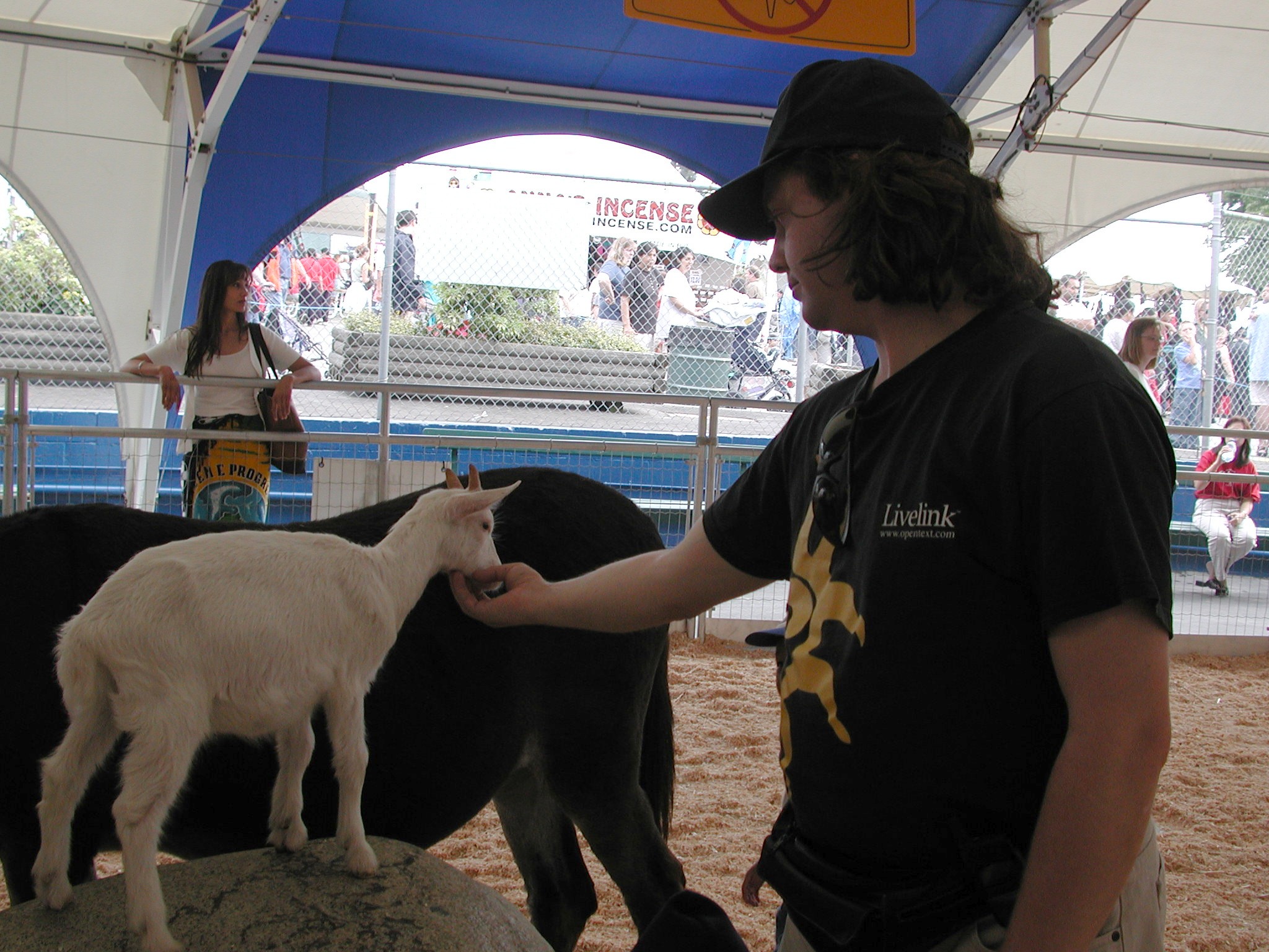 DSCN2150.JPG, 632594 bytes, 9/03/01