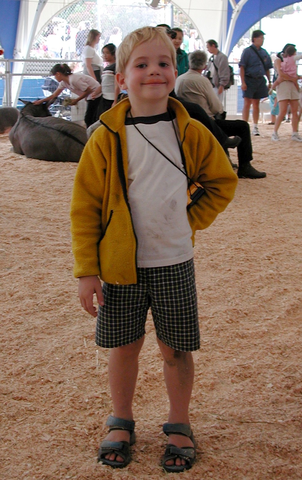 DSCN2155.JPG, 401593 bytes, 9/03/01