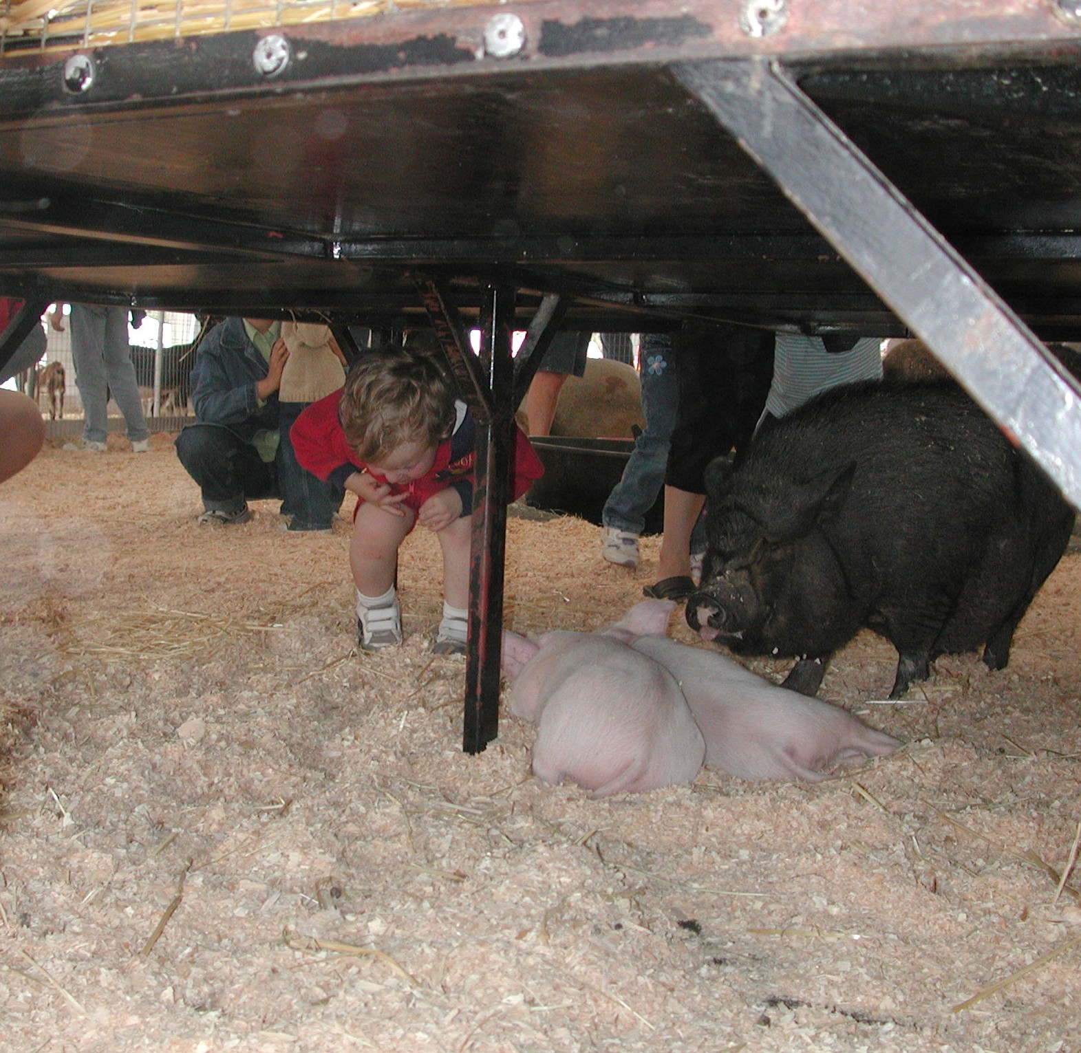 DSCN2157.JPG, 614930 bytes, 9/03/01