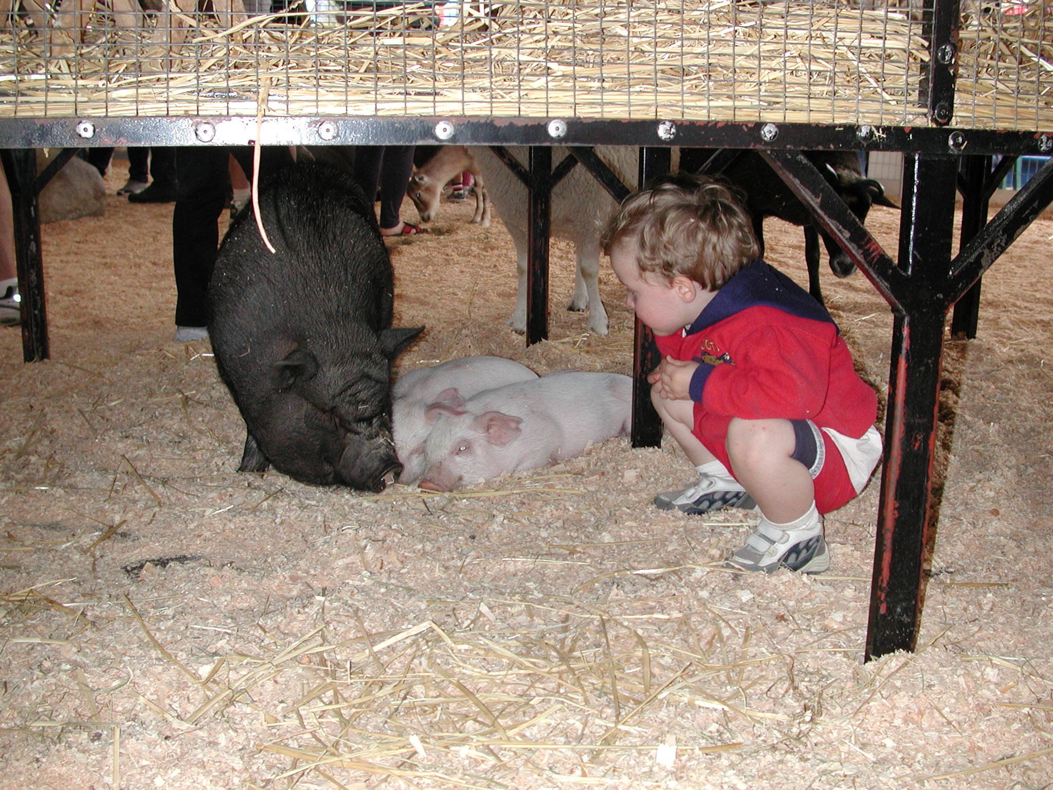 DSCN2158.JPG, 719776 bytes, 8/25/01