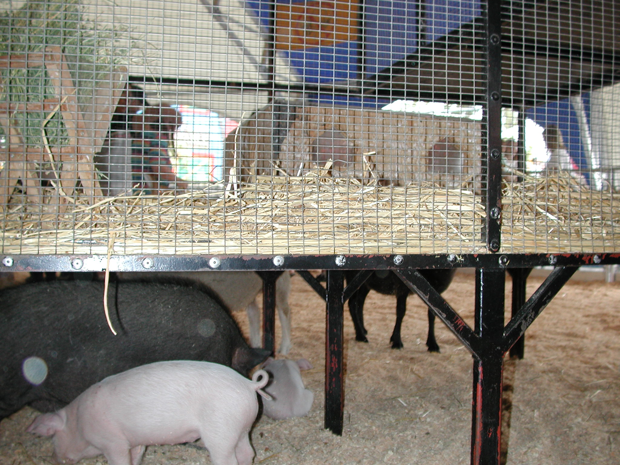 DSCN2159.JPG, 671096 bytes, 8/25/01