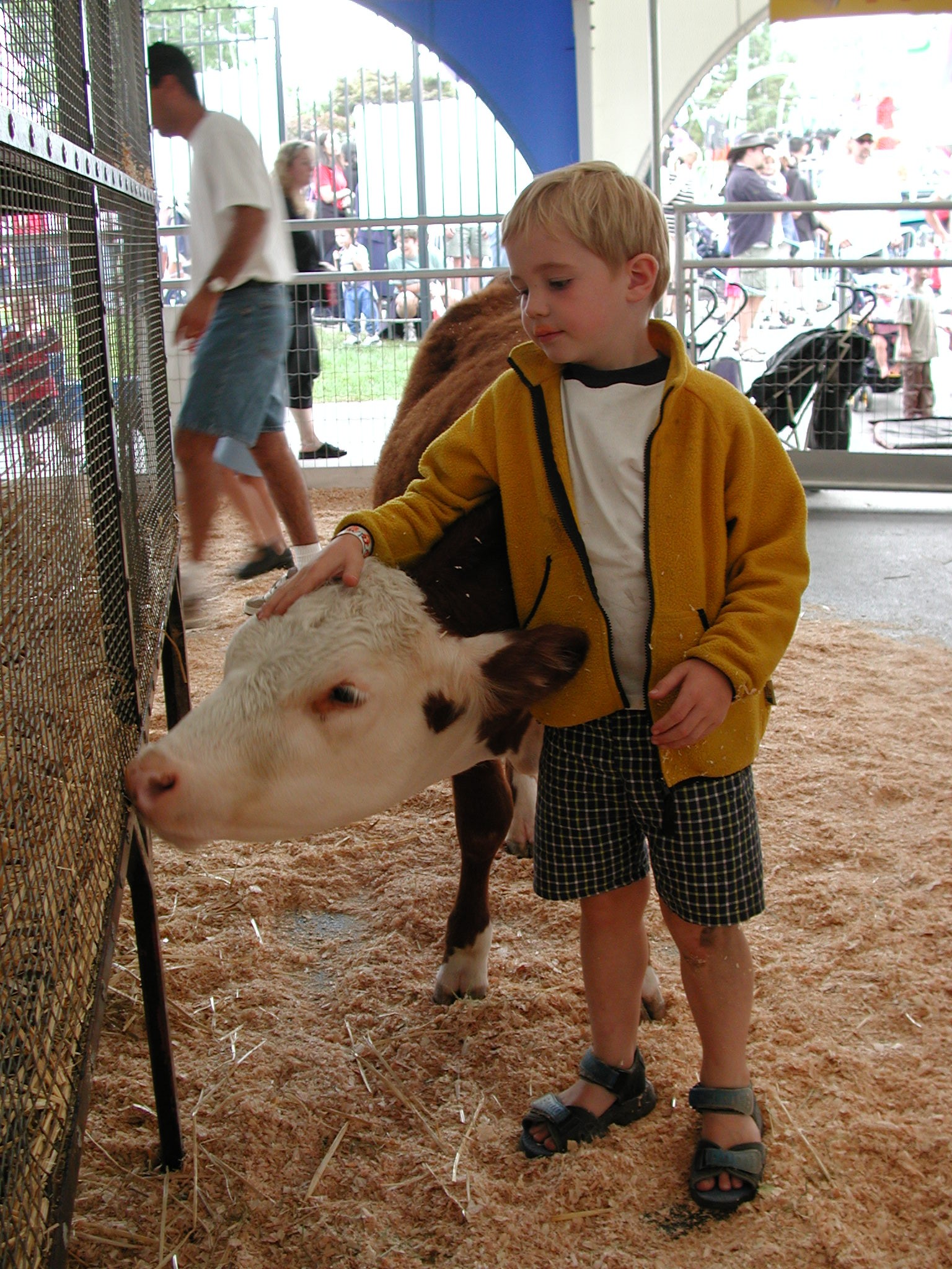 DSCN2160.JPG, 816337 bytes, 8/28/01