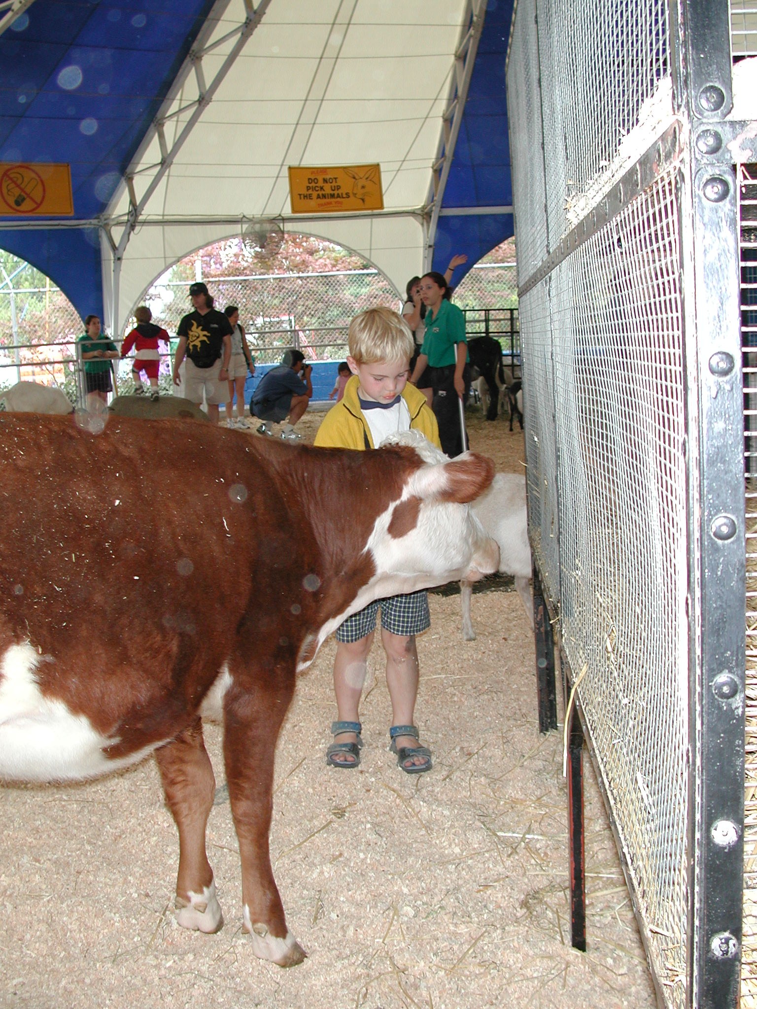 DSCN2162.JPG, 883832 bytes, 8/28/01