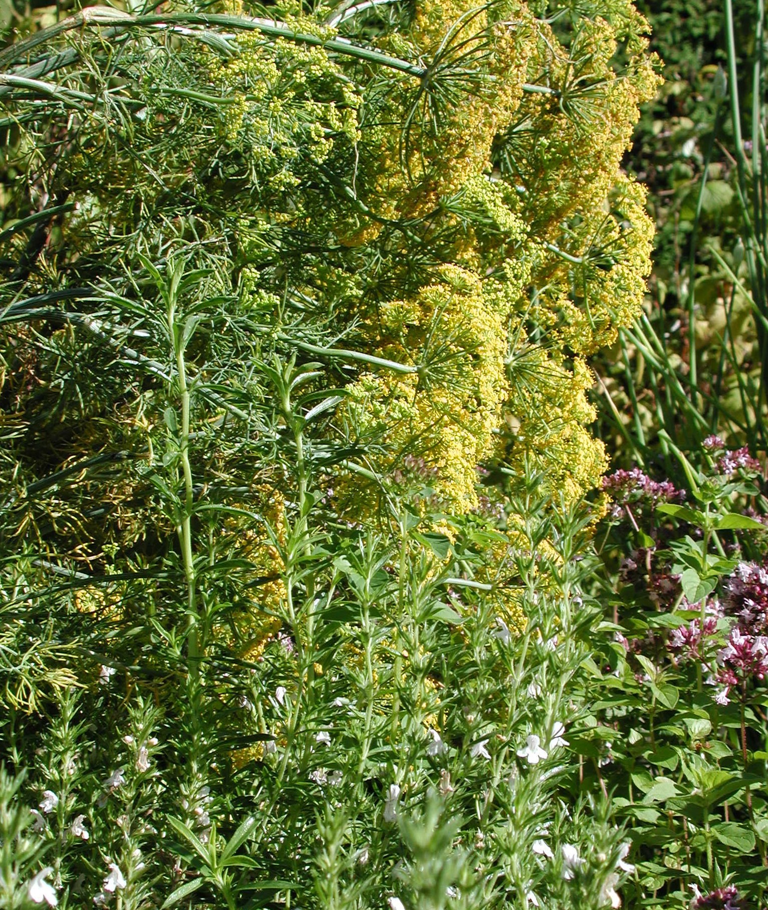 DSCN2171.JPG, 1218656 bytes, 9/03/01