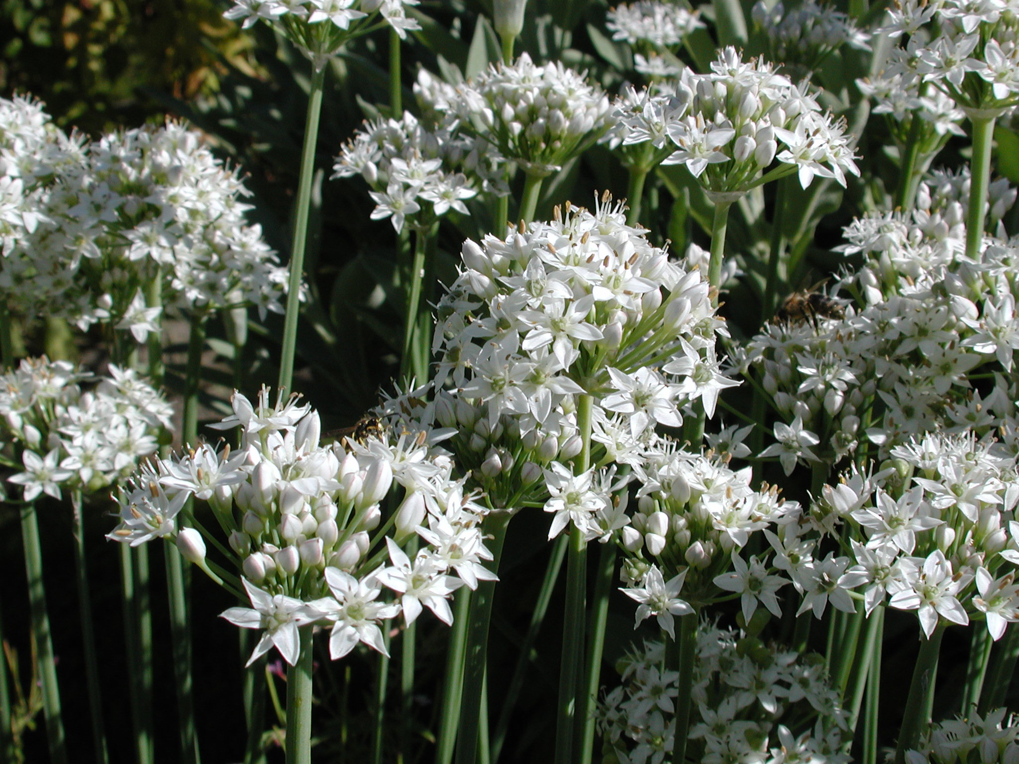 DSCN2176.JPG, 660318 bytes, 8/26/01