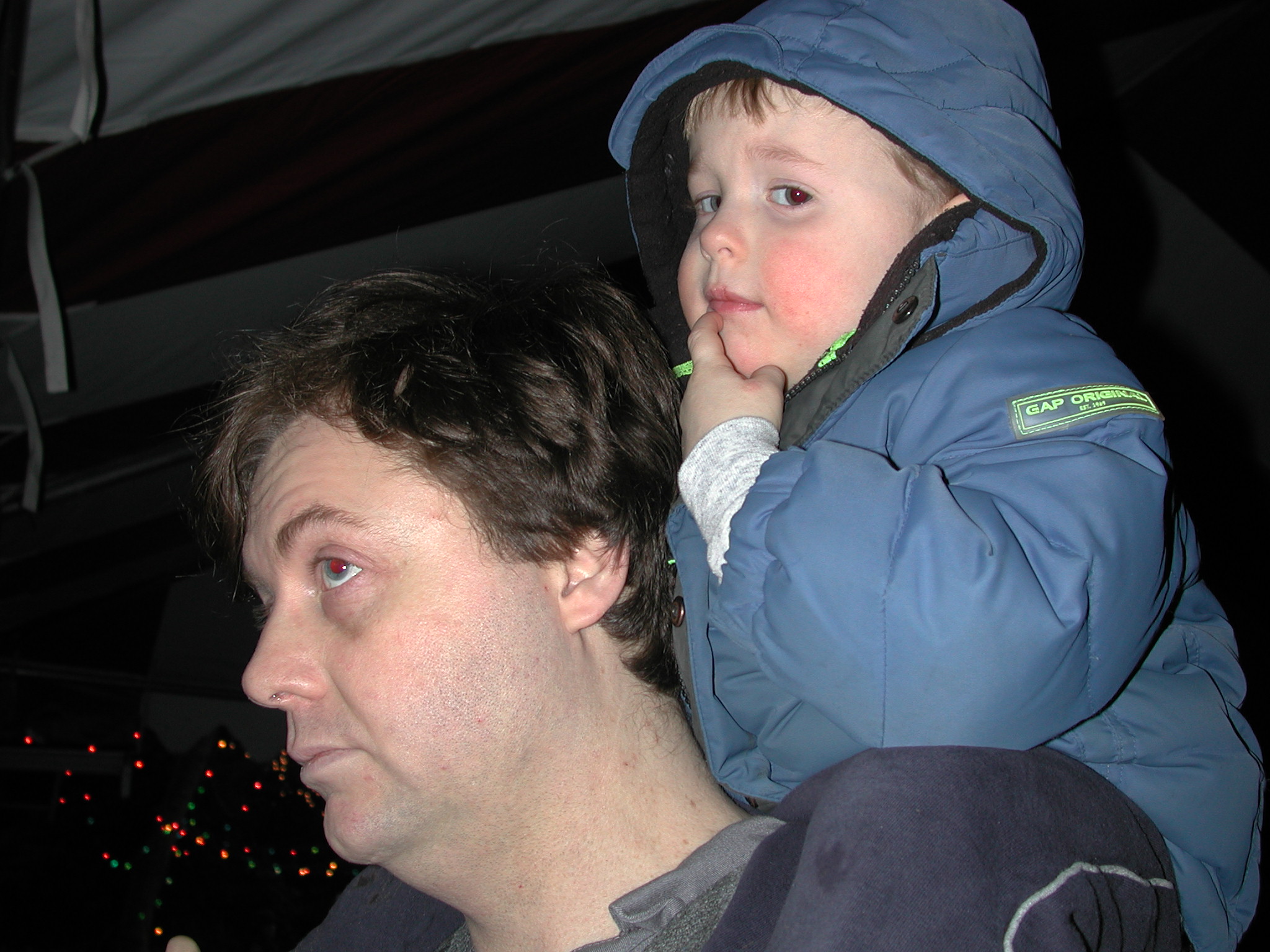 DSCN2598.JPG, 602176 bytes, 12/23/01