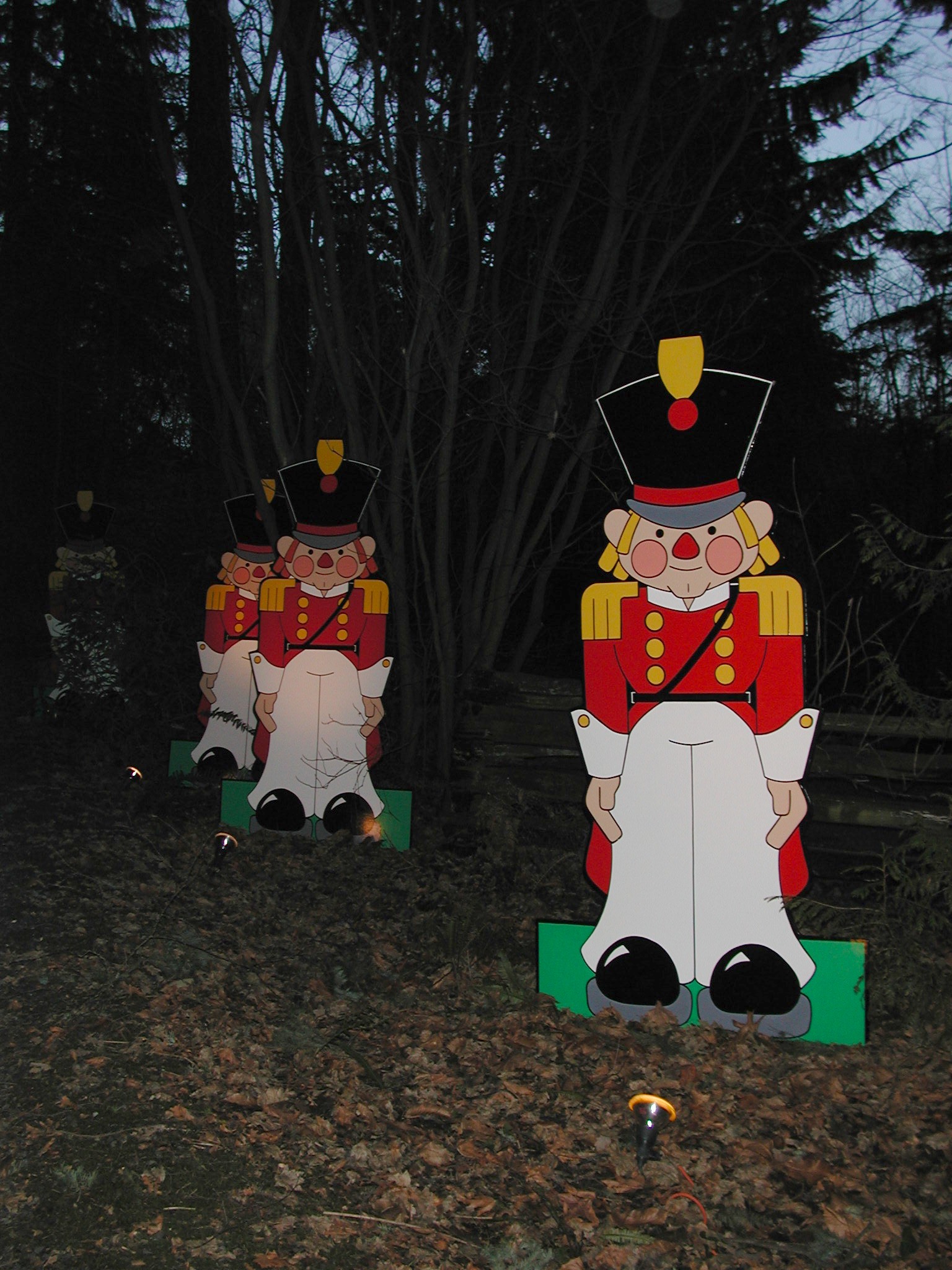 DSCN2605.JPG, 608892 bytes, 12/29/01