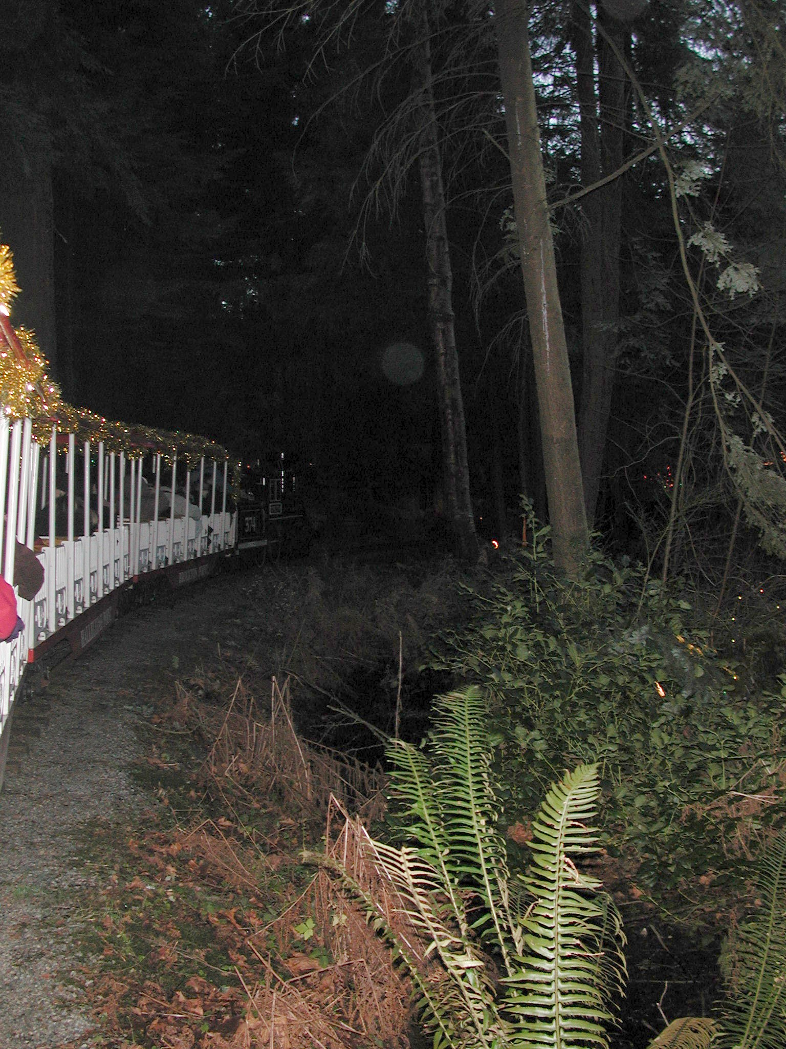 DSCN2611.JPG, 858767 bytes, 12/29/01