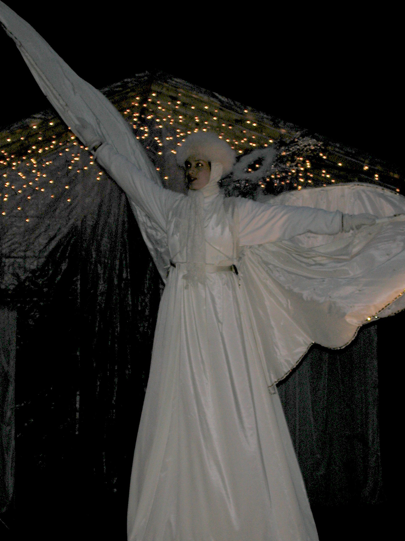 DSCN2620.JPG, 605442 bytes, 12/29/01