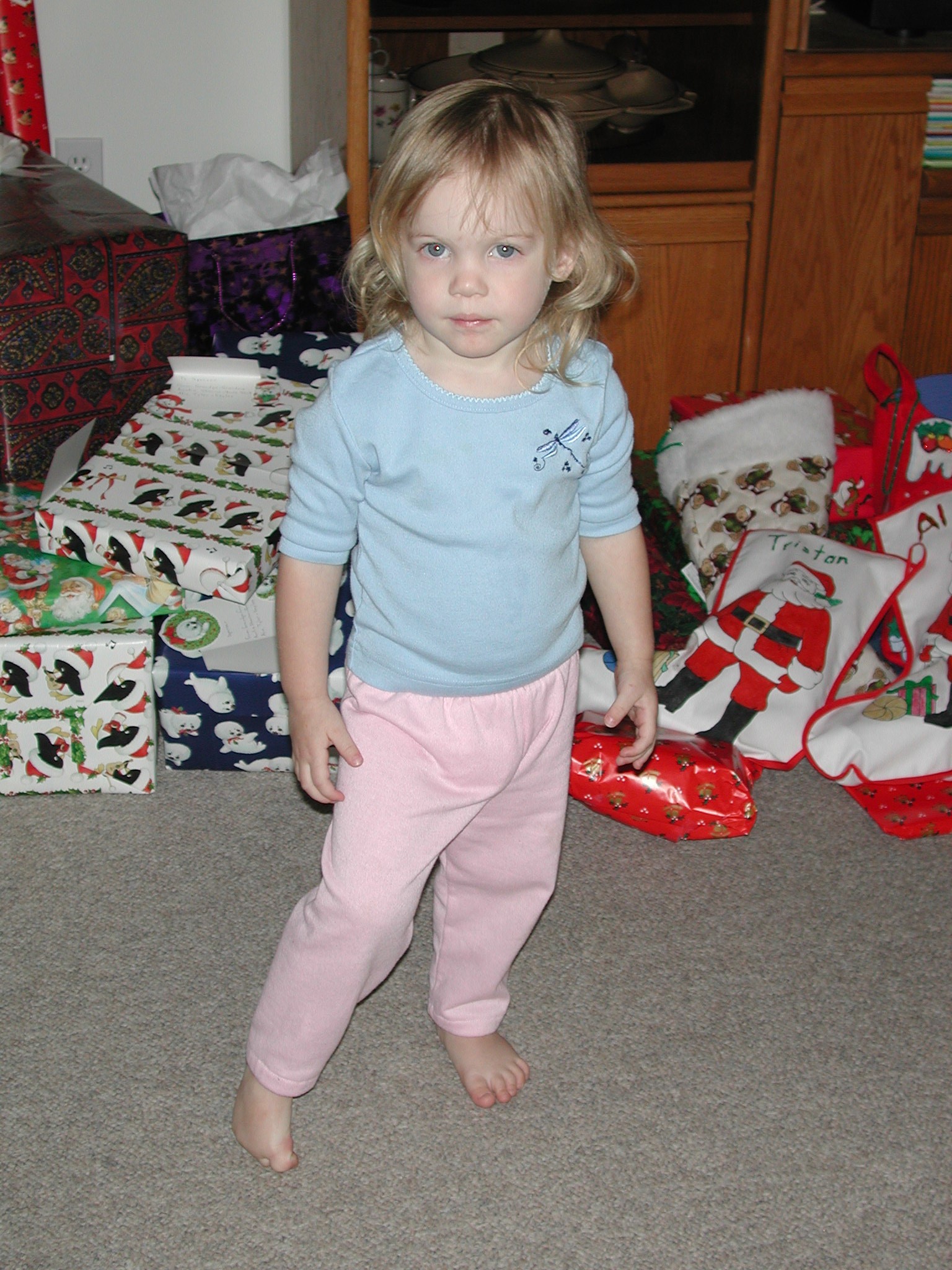 DSCN2653.JPG, 684043 bytes, 12/29/01