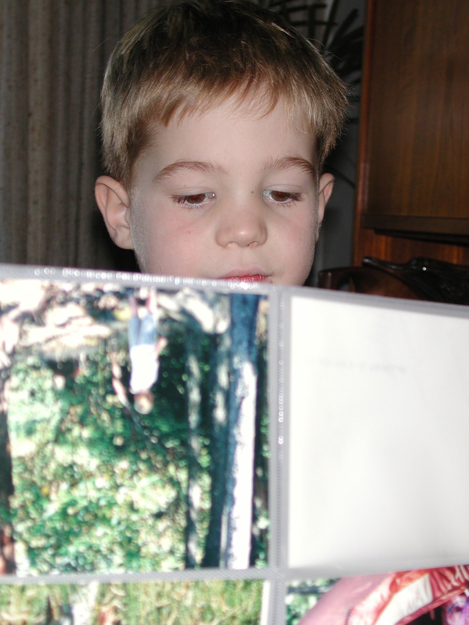 DSCN2642.JPG, 546377 bytes, 12/29/01