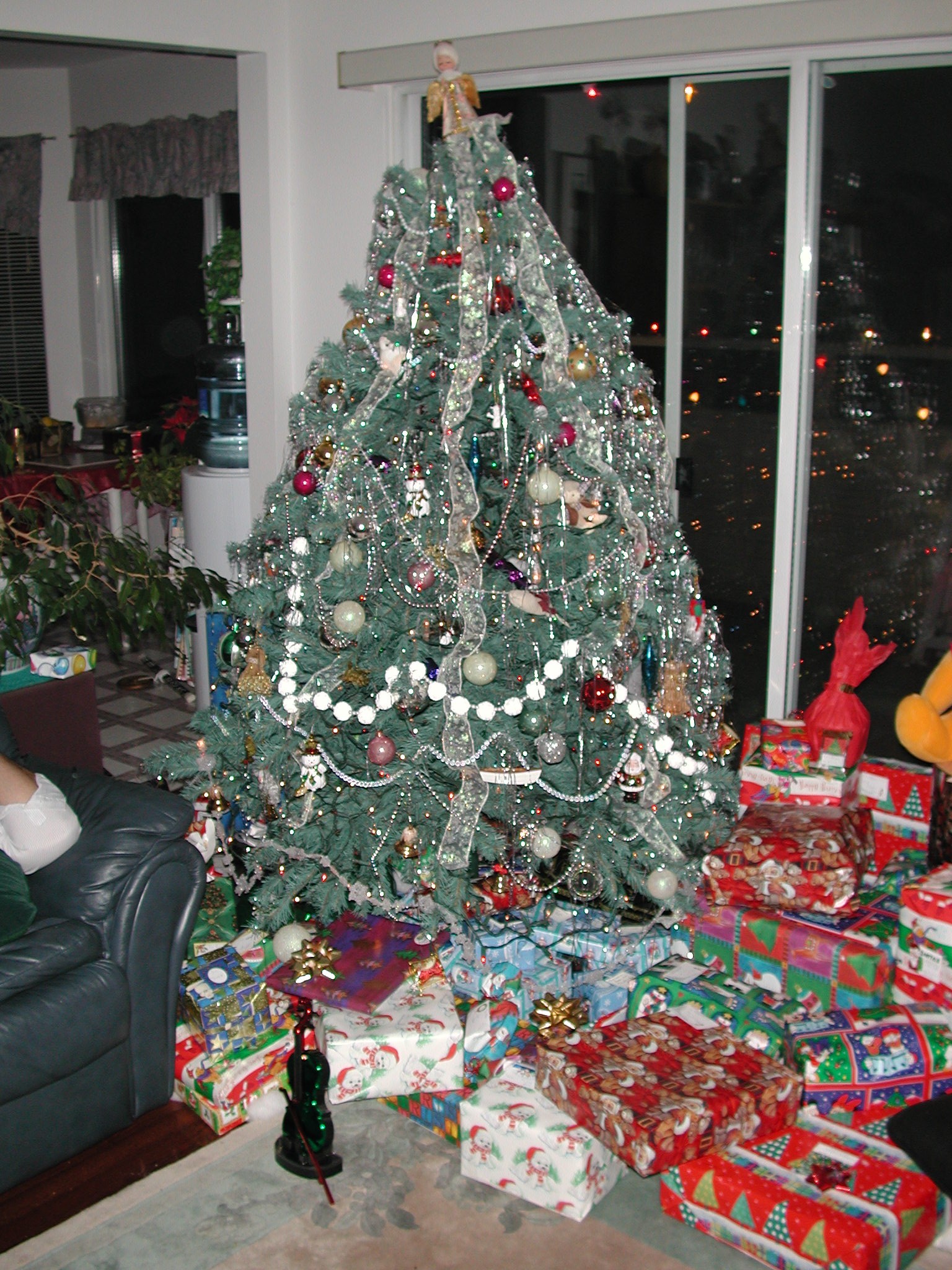 DSCN2794.JPG, 791843 bytes, 12/30/01