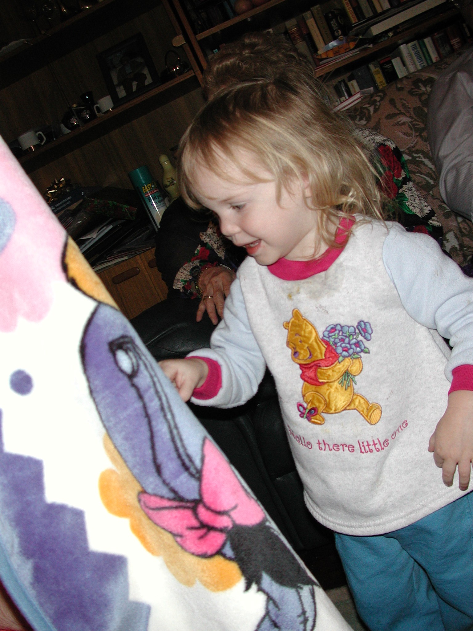 DSCN2821.JPG, 615144 bytes, 12/30/01