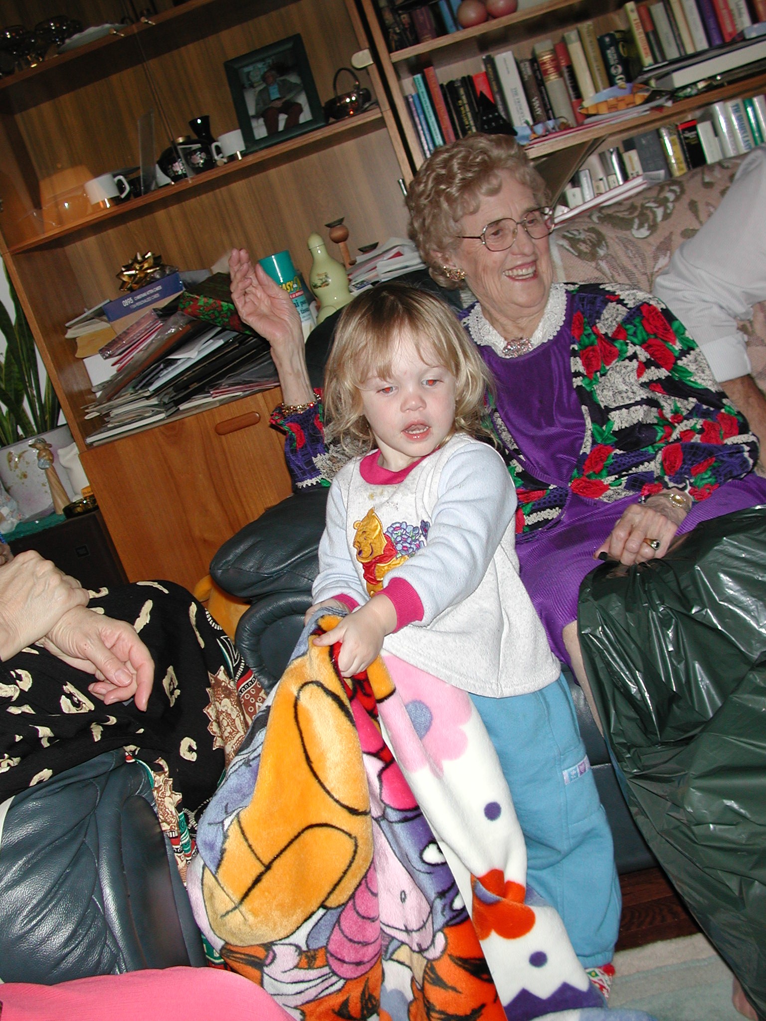 DSCN2823.JPG, 771085 bytes, 12/30/01