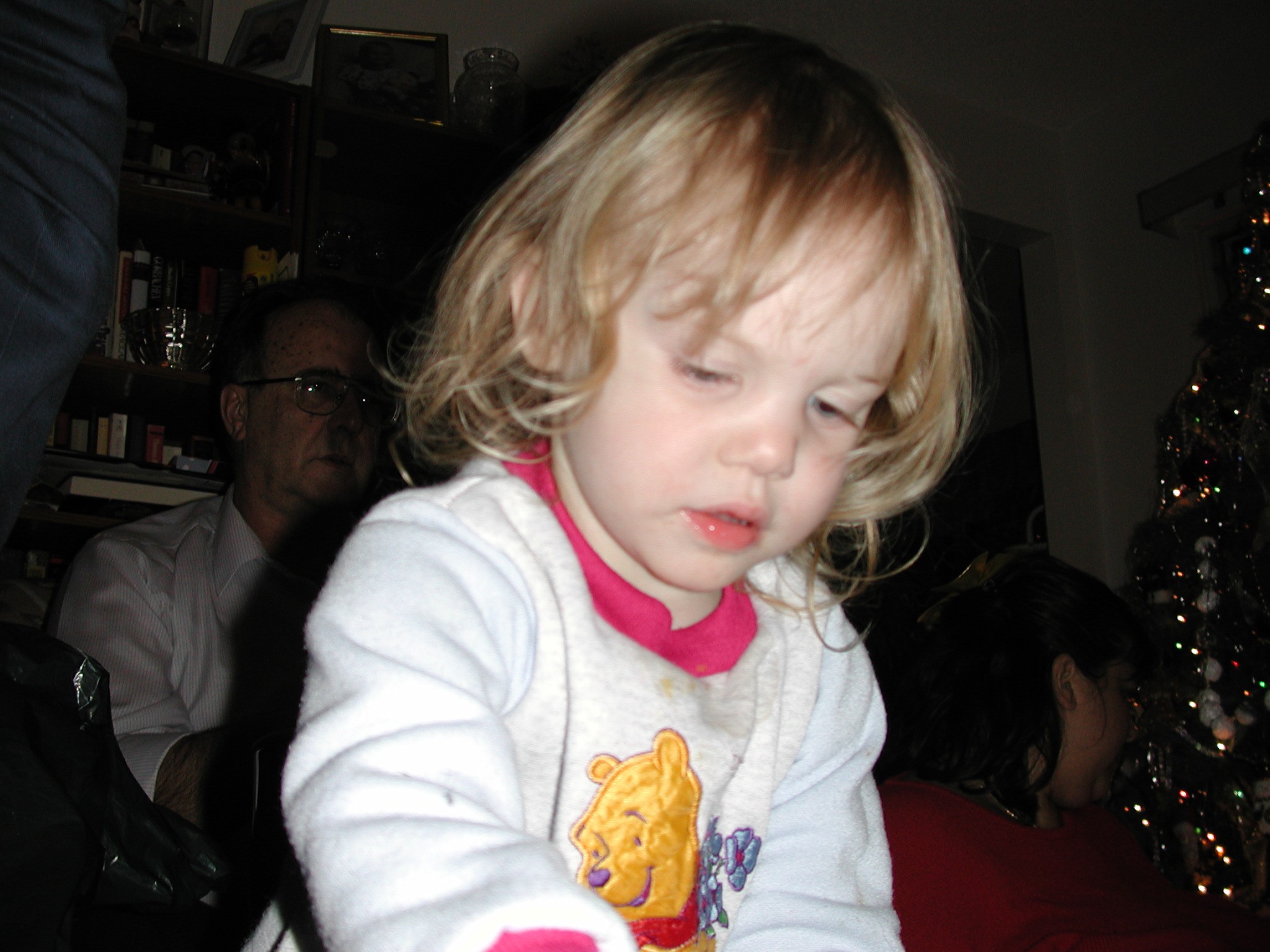 DSCN2861.JPG, 501051 bytes, 12/30/01