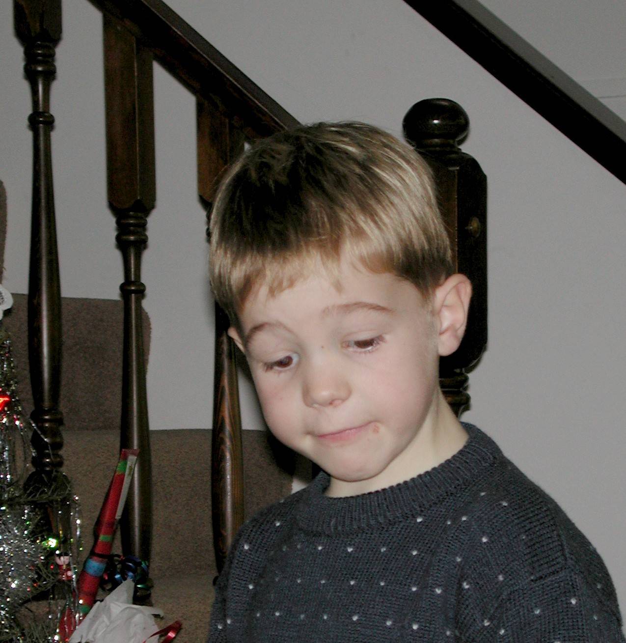 DSCN2731.JPG, 163735 bytes, 12/30/01