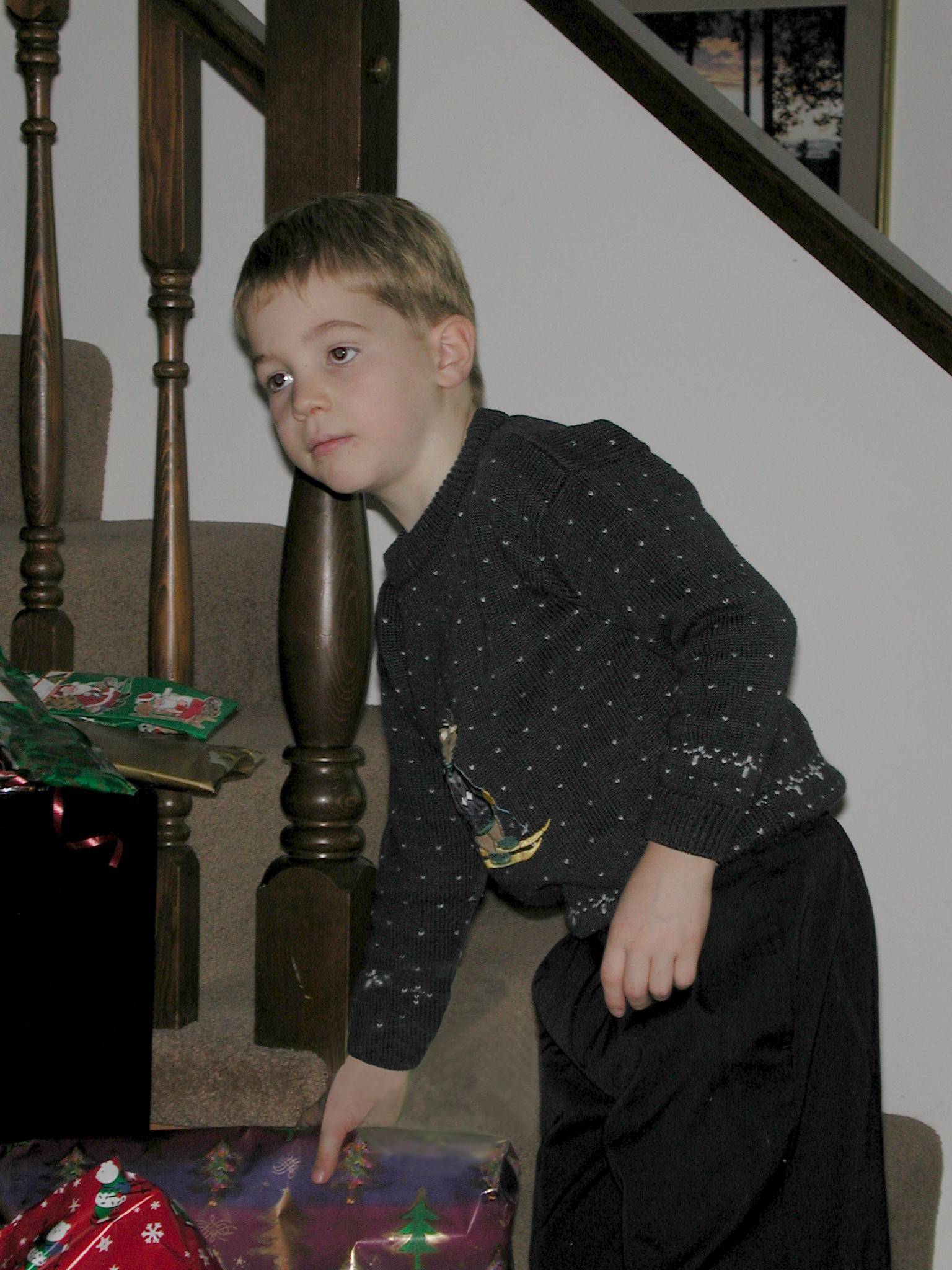 DSCN2733.JPG, 310719 bytes, 12/30/01