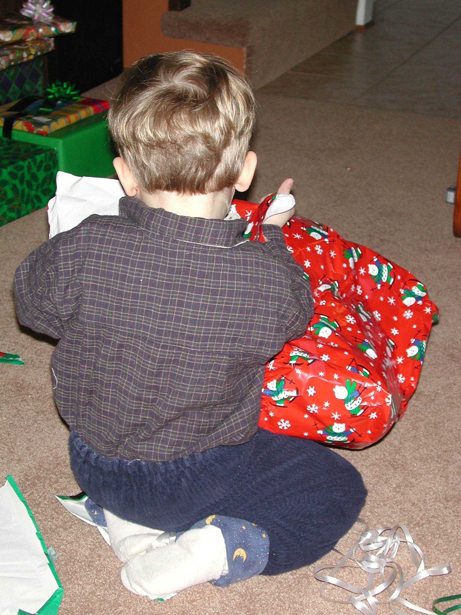 DSCN2747.JPG, 781983 bytes, 12/30/01