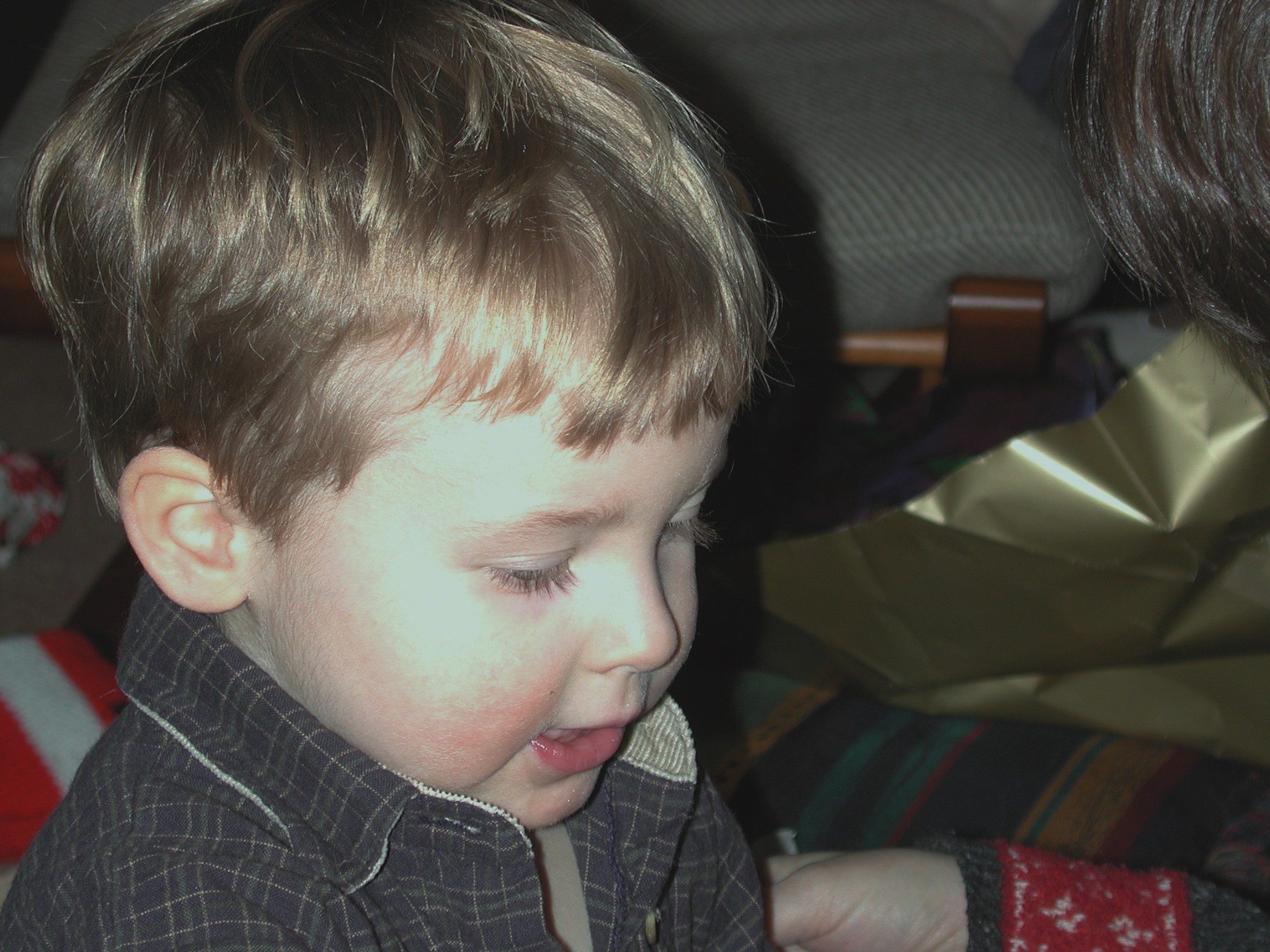 DSCN2760.JPG, 576002 bytes, 12/30/01