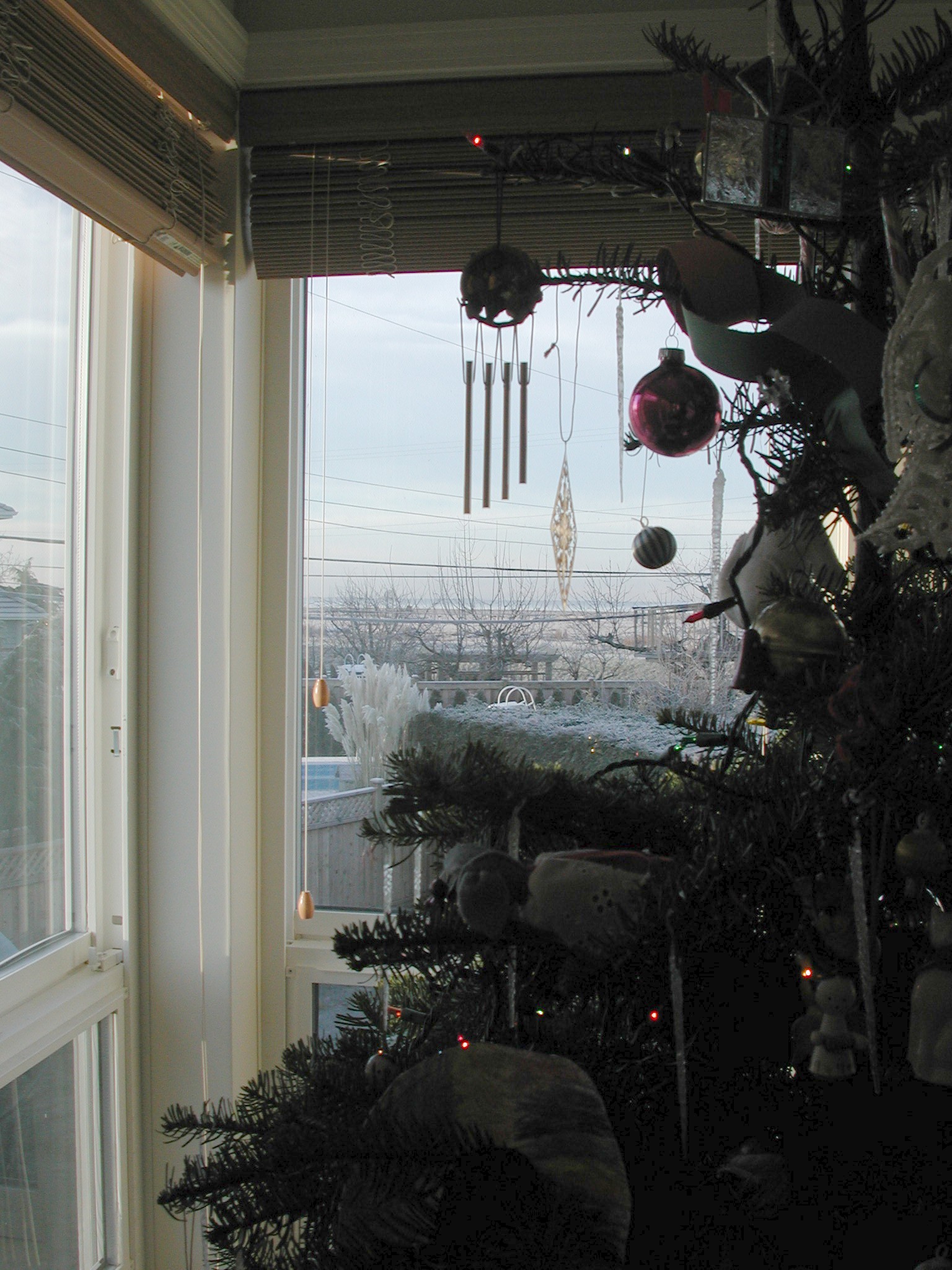 DSCN2901.JPG, 601006 bytes, 12/30/01