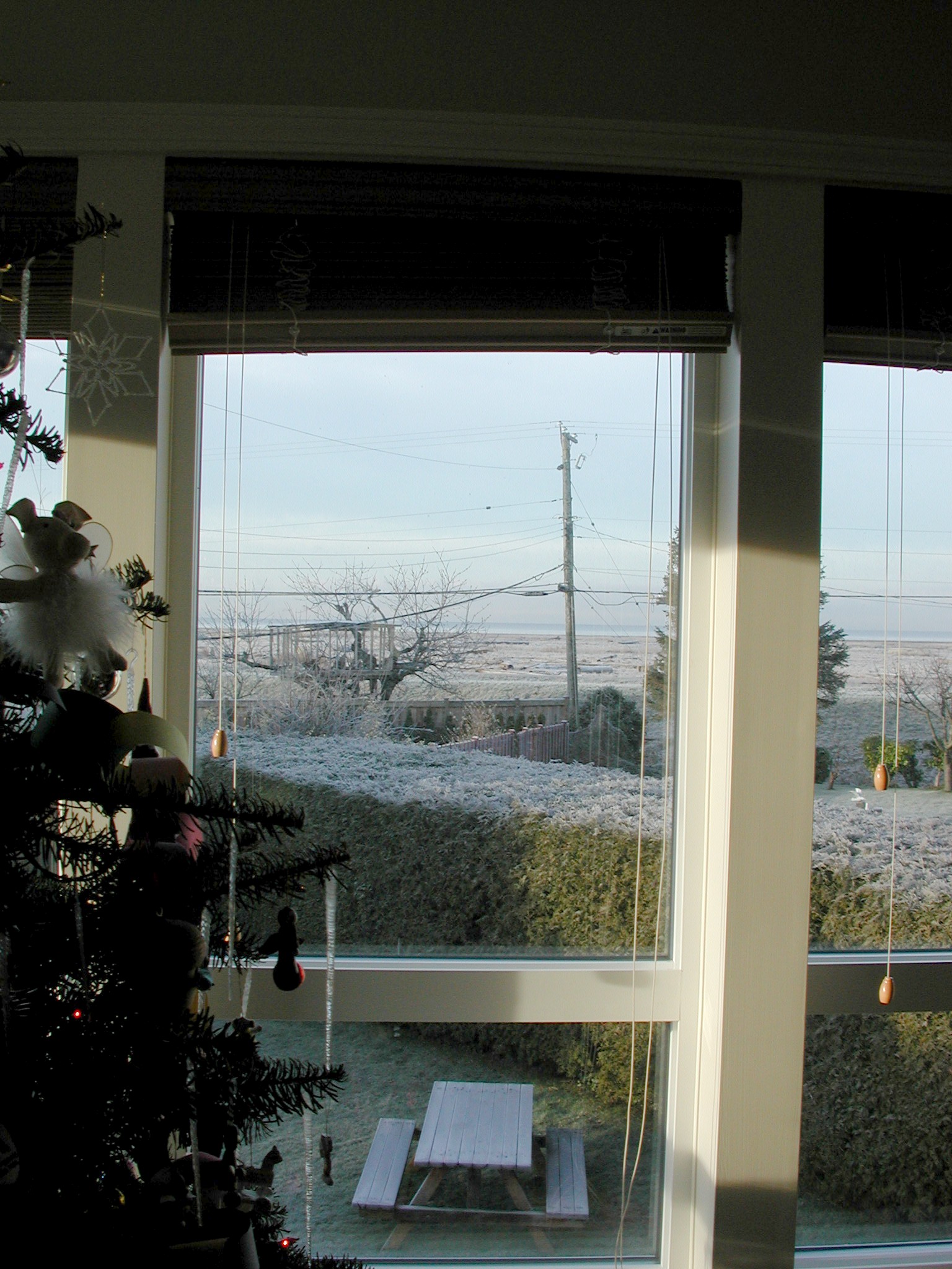 DSCN2903.JPG, 619843 bytes, 12/31/01