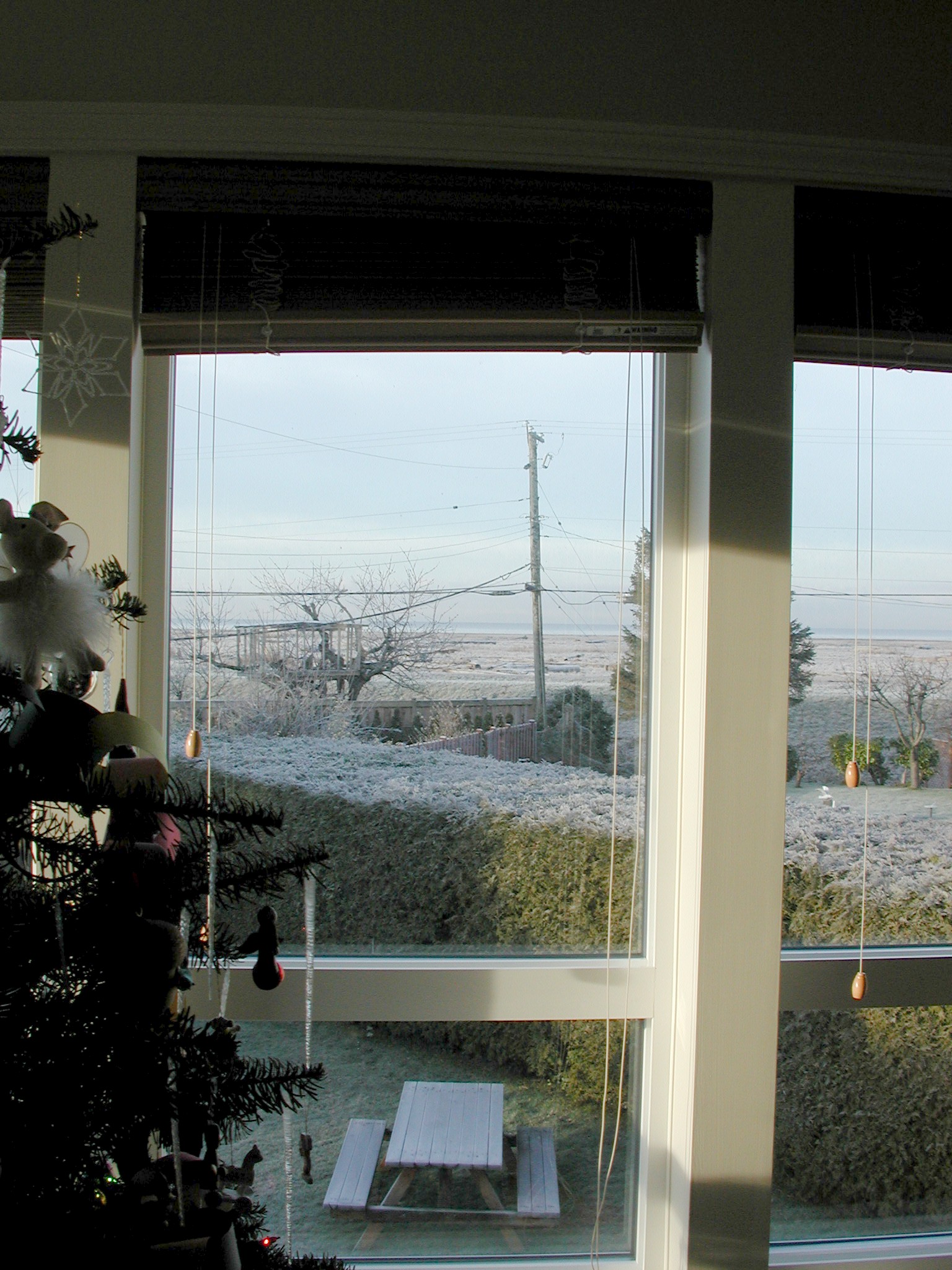 DSCN2904.JPG, 637926 bytes, 12/31/01