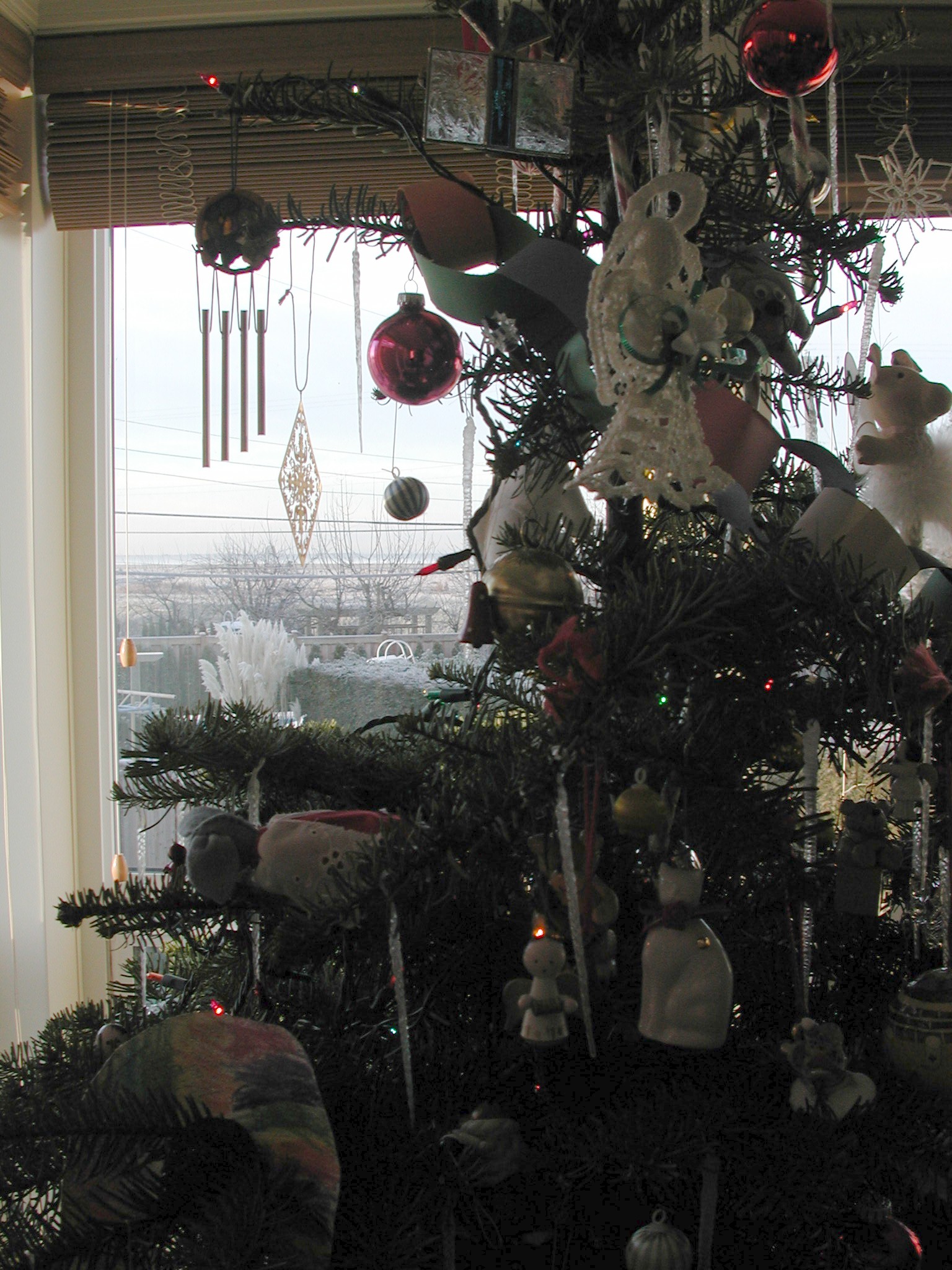 DSCN2905.JPG, 664486 bytes, 12/31/01