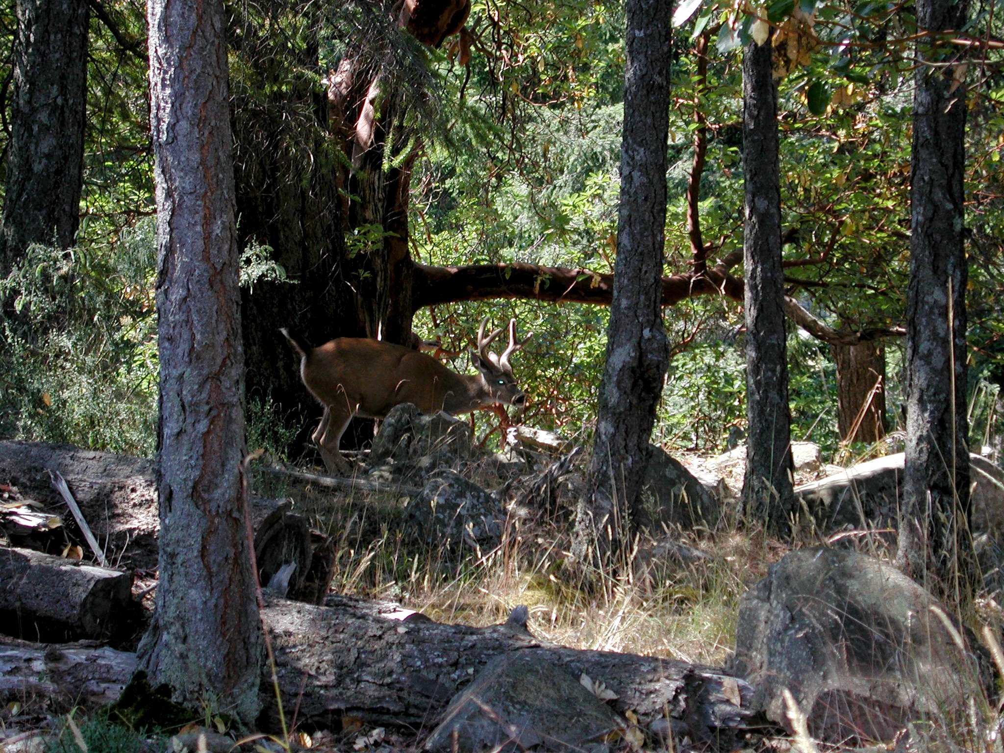 DSCN1902.JPG, 1012046 bytes, 7/28/01