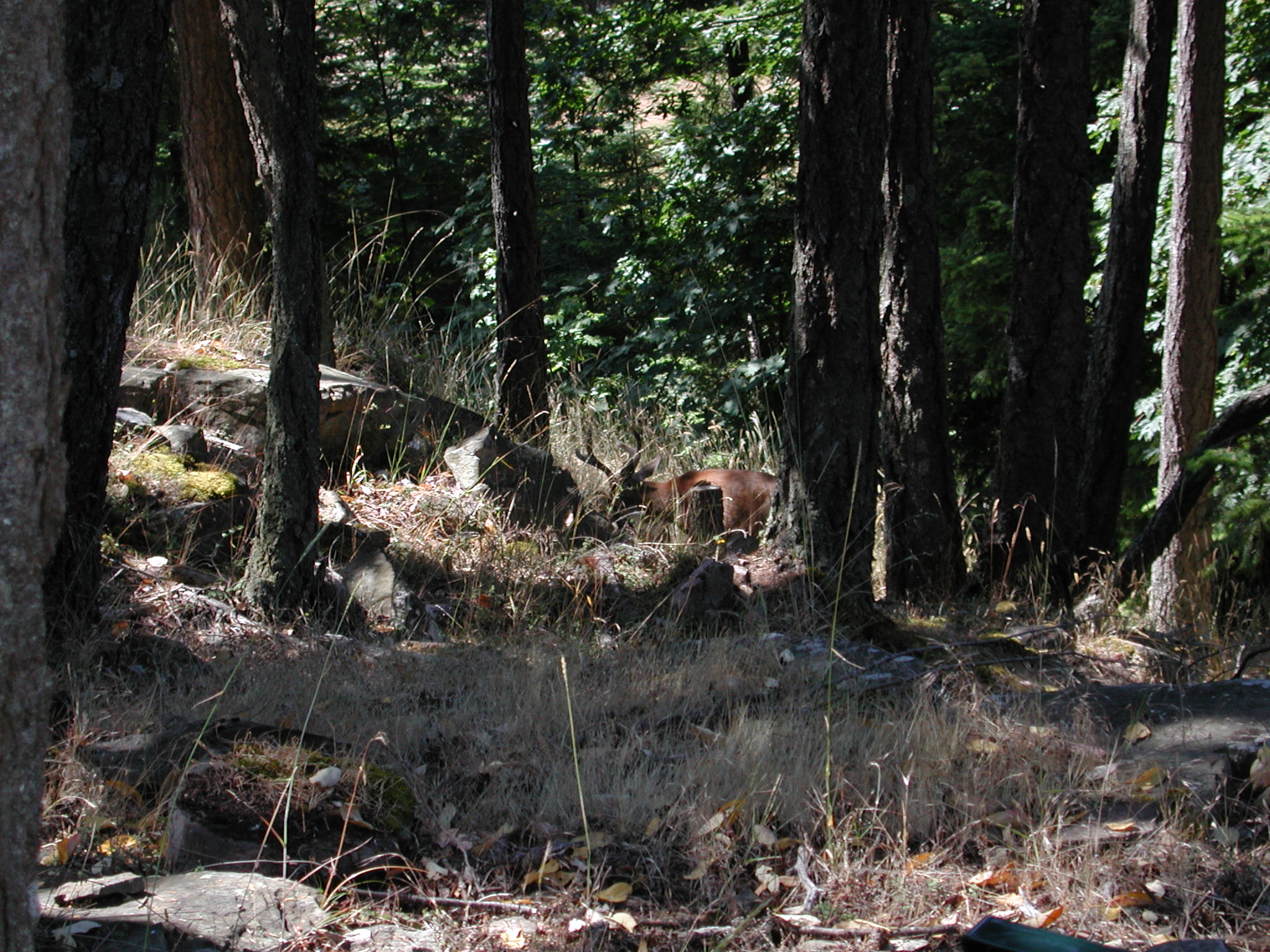 DSCN1903.JPG, 682697 bytes, 7/08/01