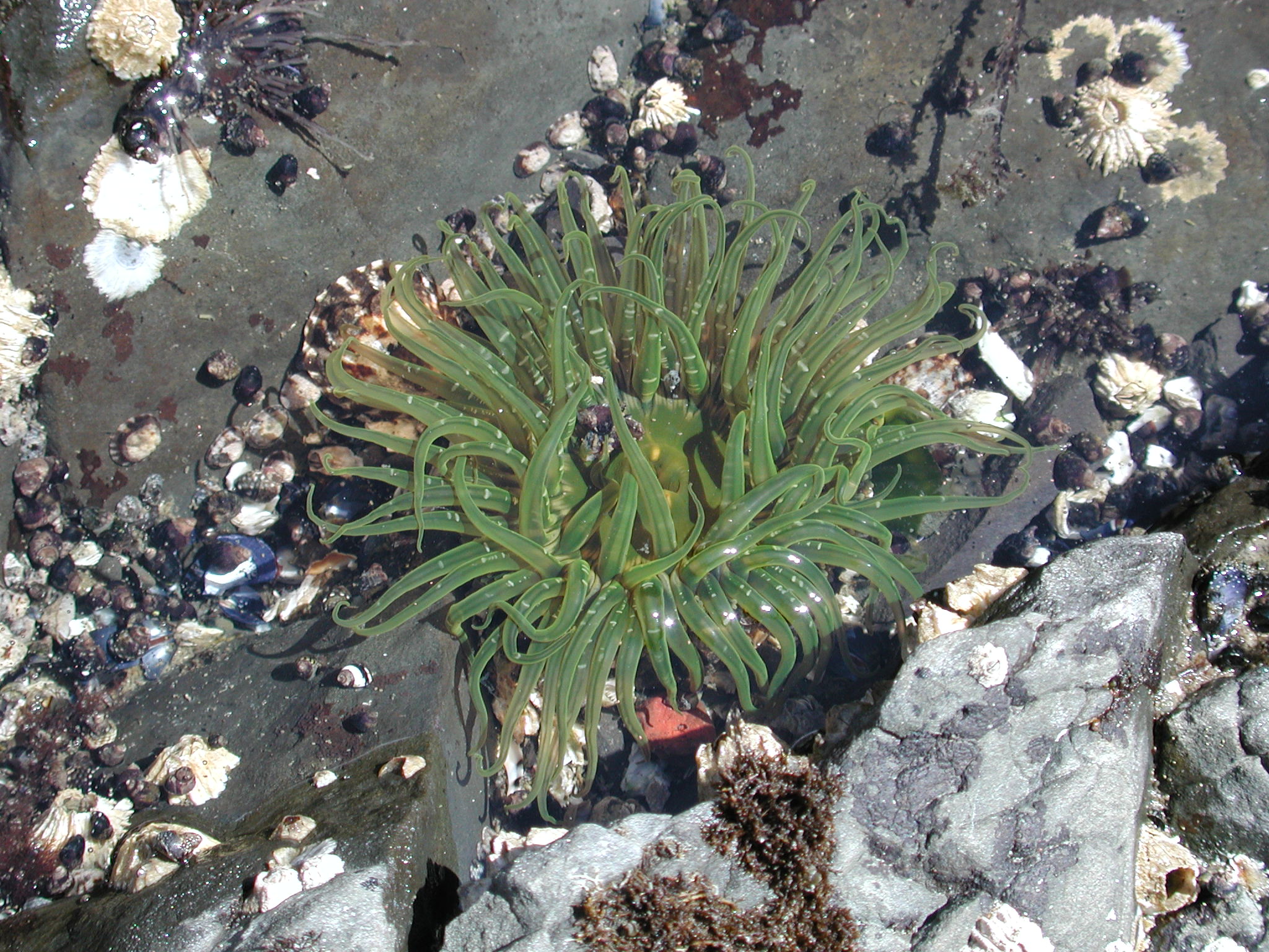 DSCN1919.JPG, 709863 bytes, 7/08/01