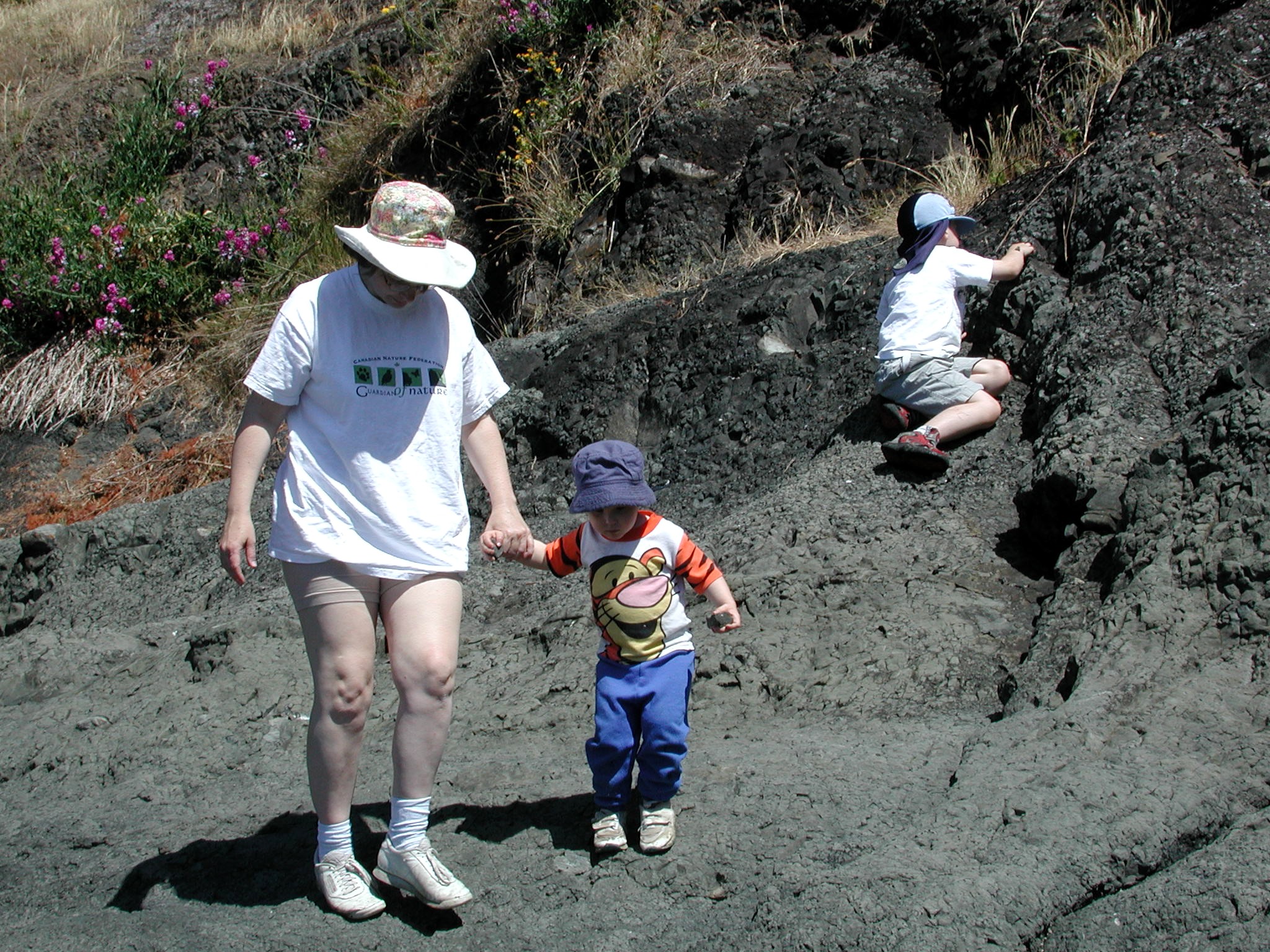 DSCN1921.JPG, 944420 bytes, 7/28/01