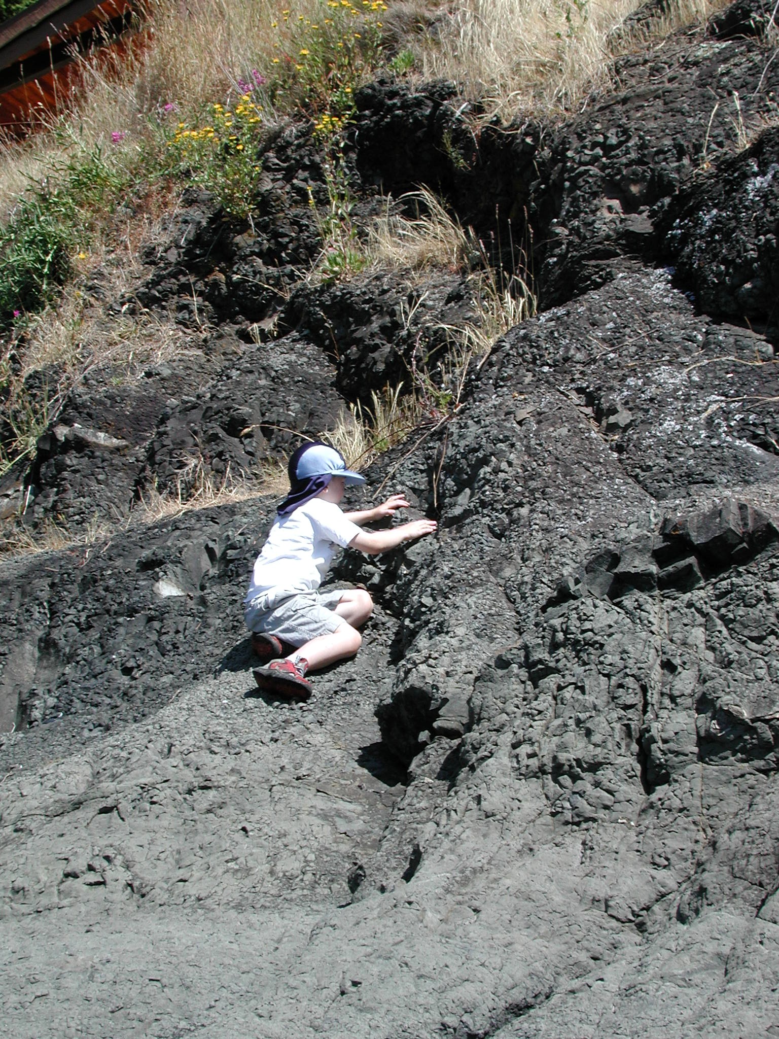 DSCN1925.JPG, 1041850 bytes, 7/28/01