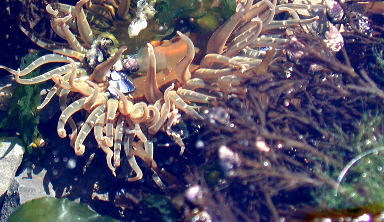 DSCN1926.JPG, 278236 bytes, 7/28/01