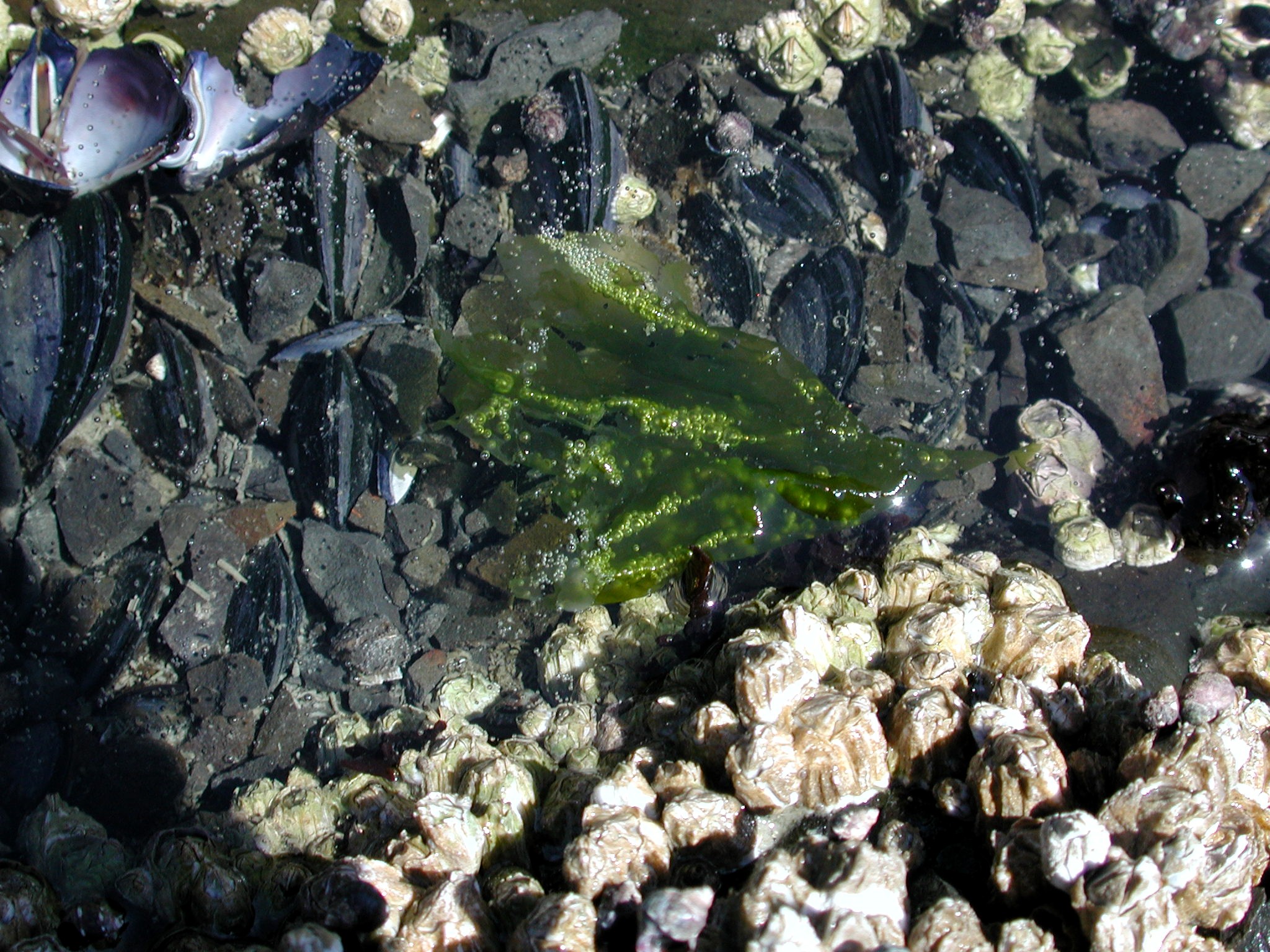 DSCN1929.JPG, 833595 bytes, 7/28/01