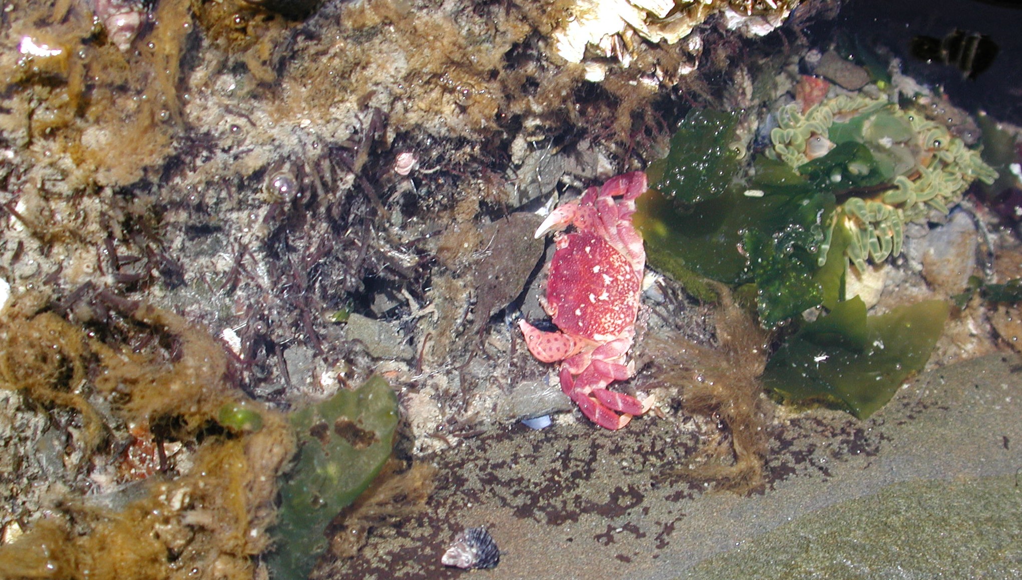 DSCN1930.JPG, 710013 bytes, 7/28/01