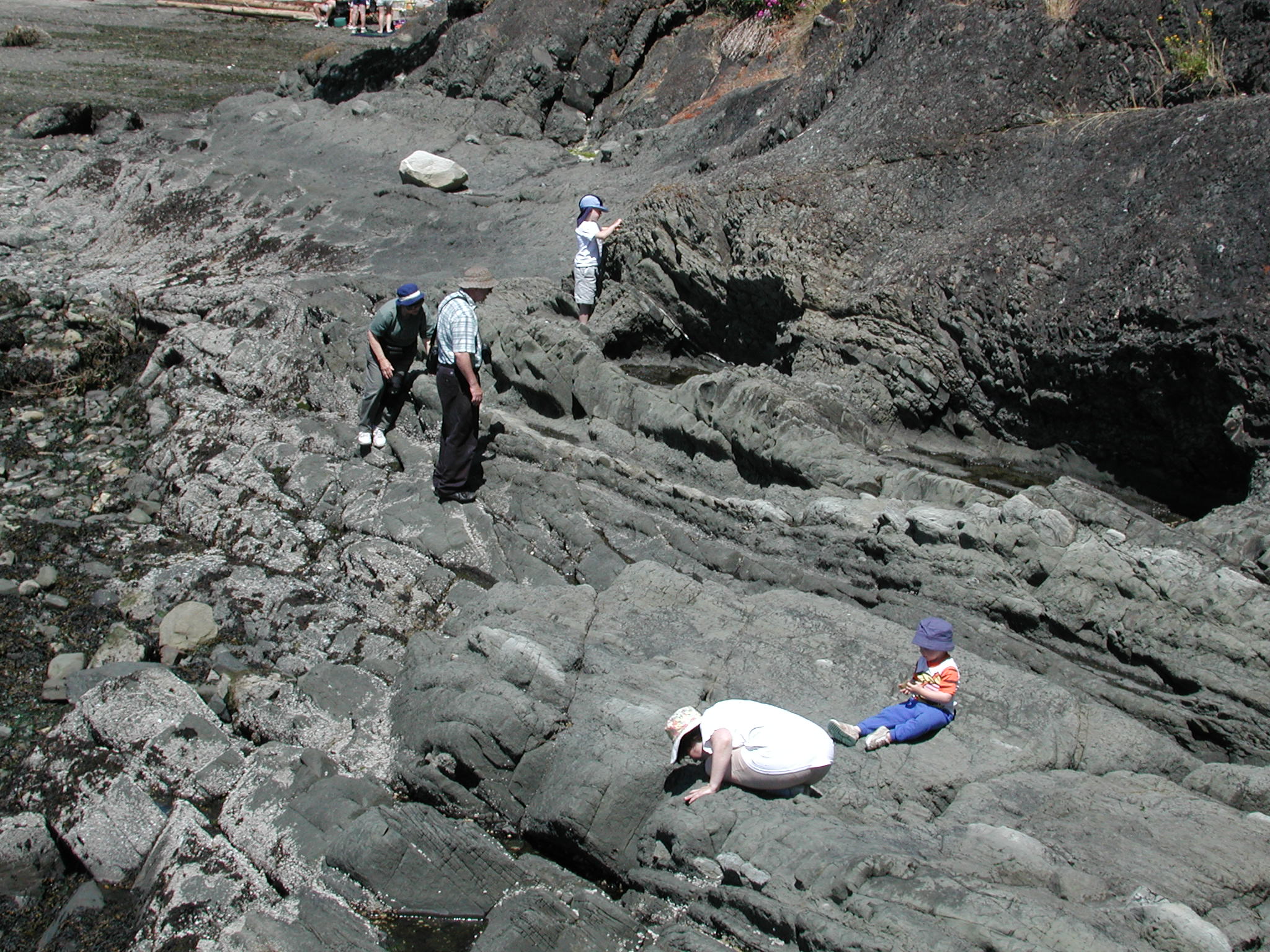 DSCN1932.JPG, 691862 bytes, 7/08/01