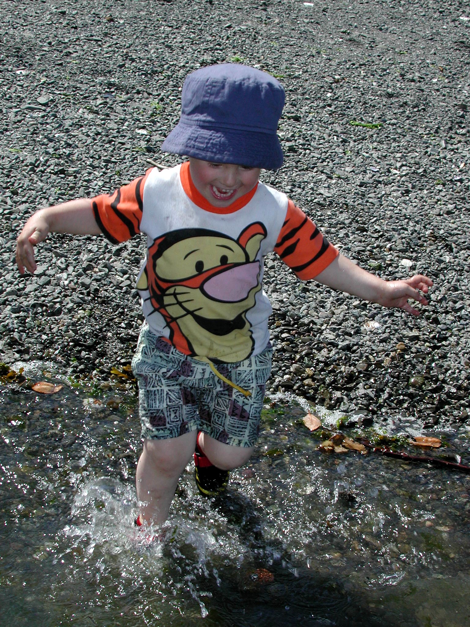 DSCN1938.JPG, 1123151 bytes, 8/05/01