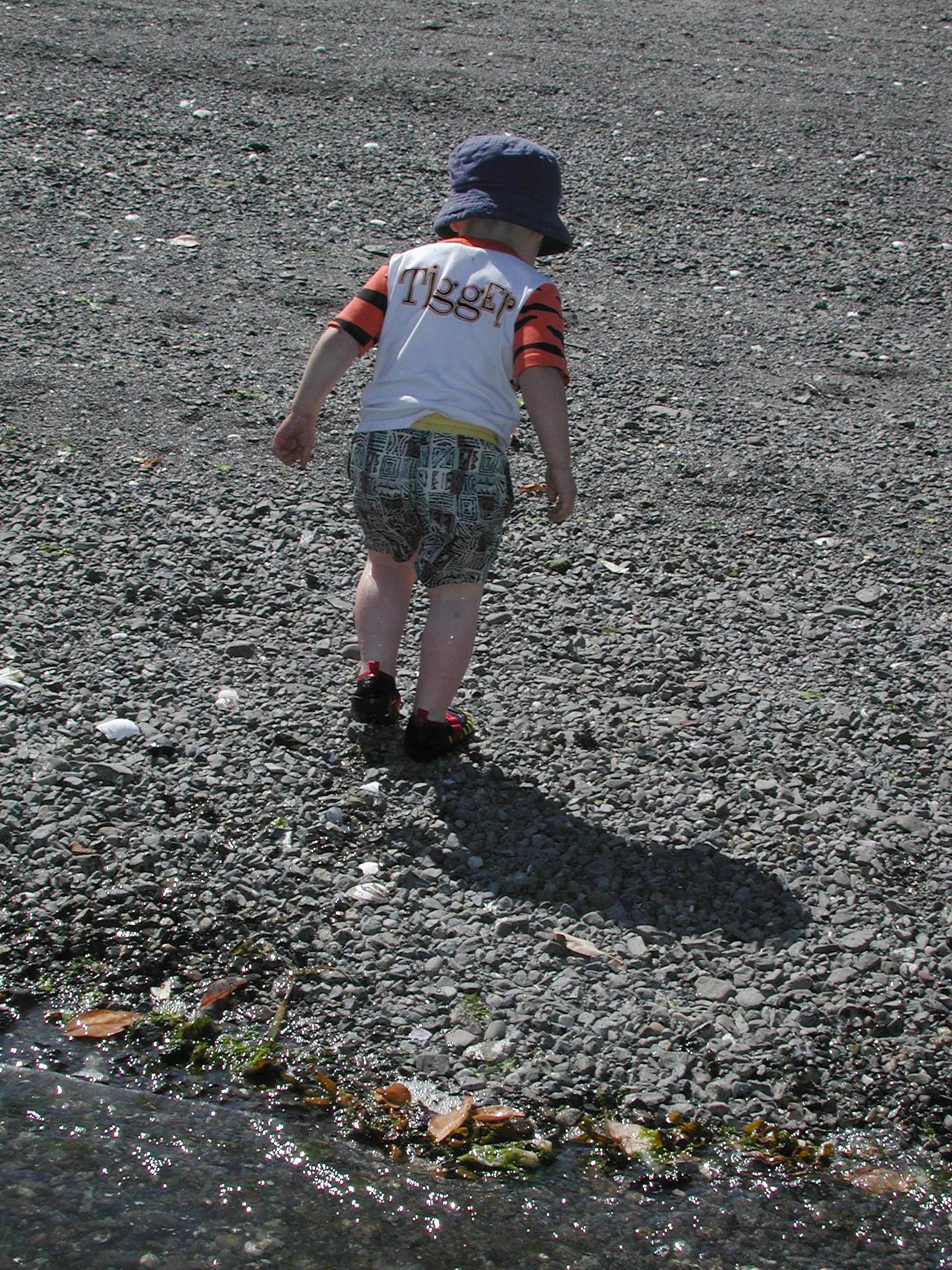 DSCN1939.JPG, 1157106 bytes, 8/05/01