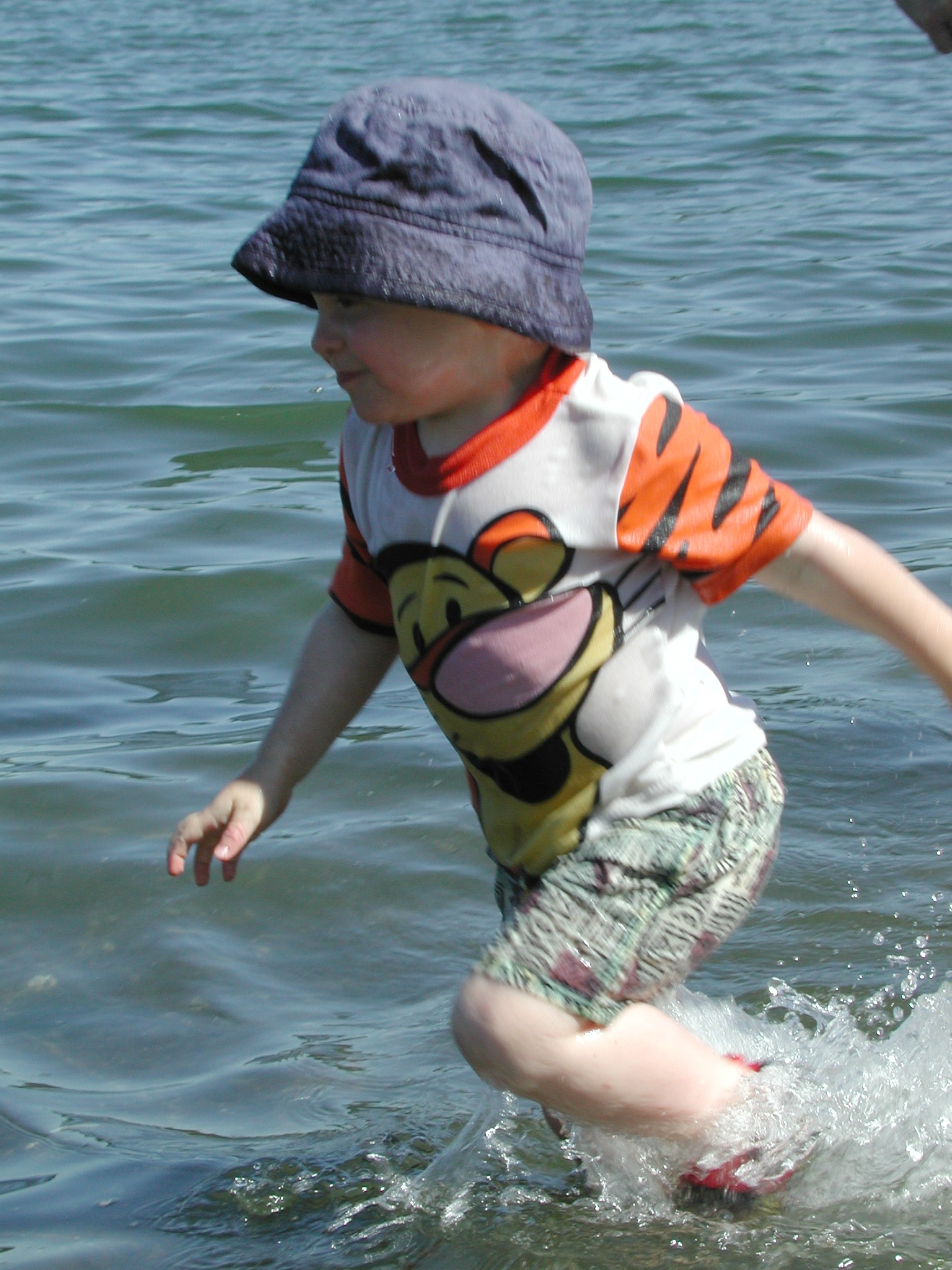 DSCN1944.JPG, 615191 bytes, 8/05/01