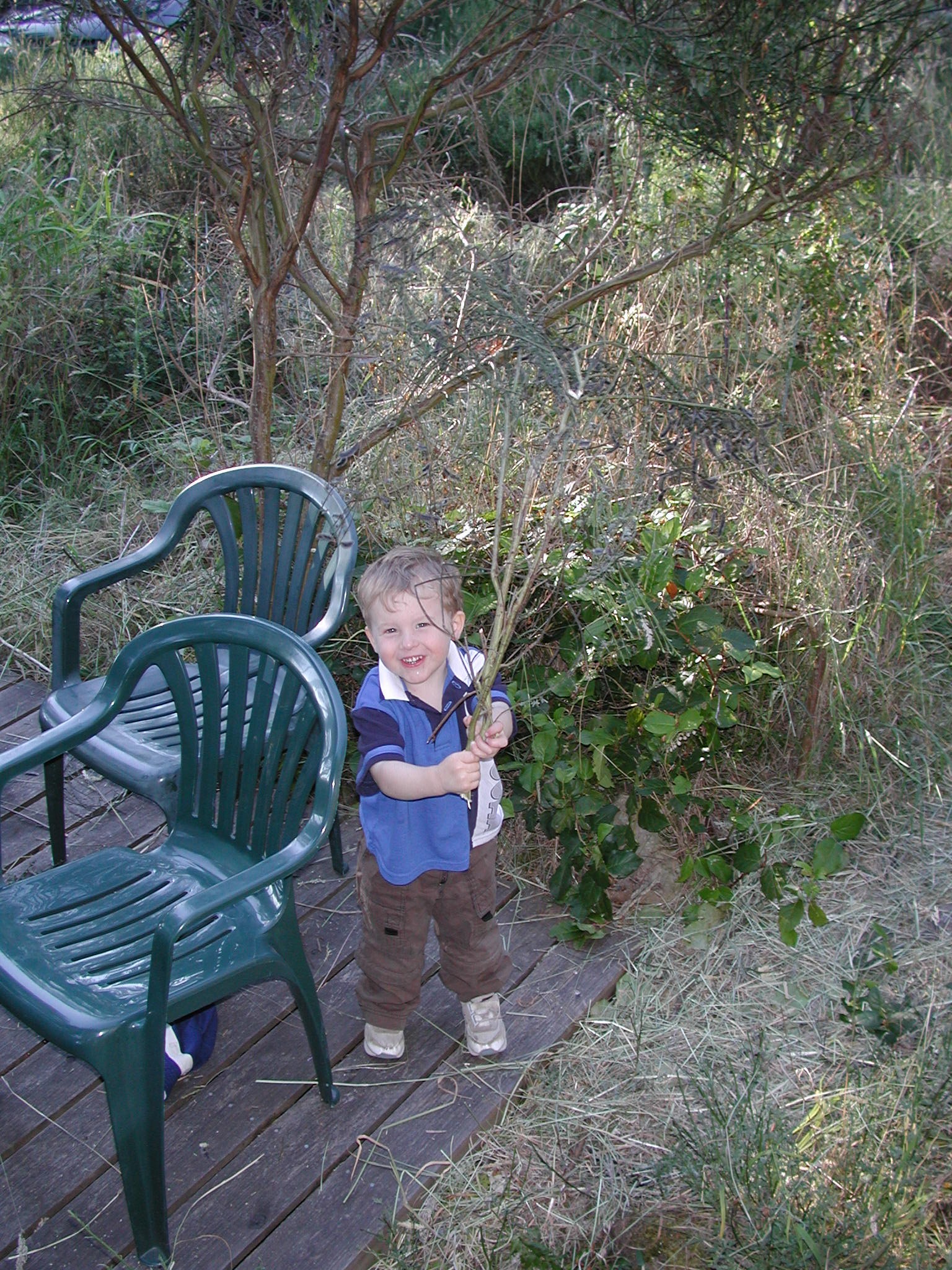 DSCN1950.JPG, 999875 bytes, 8/05/01