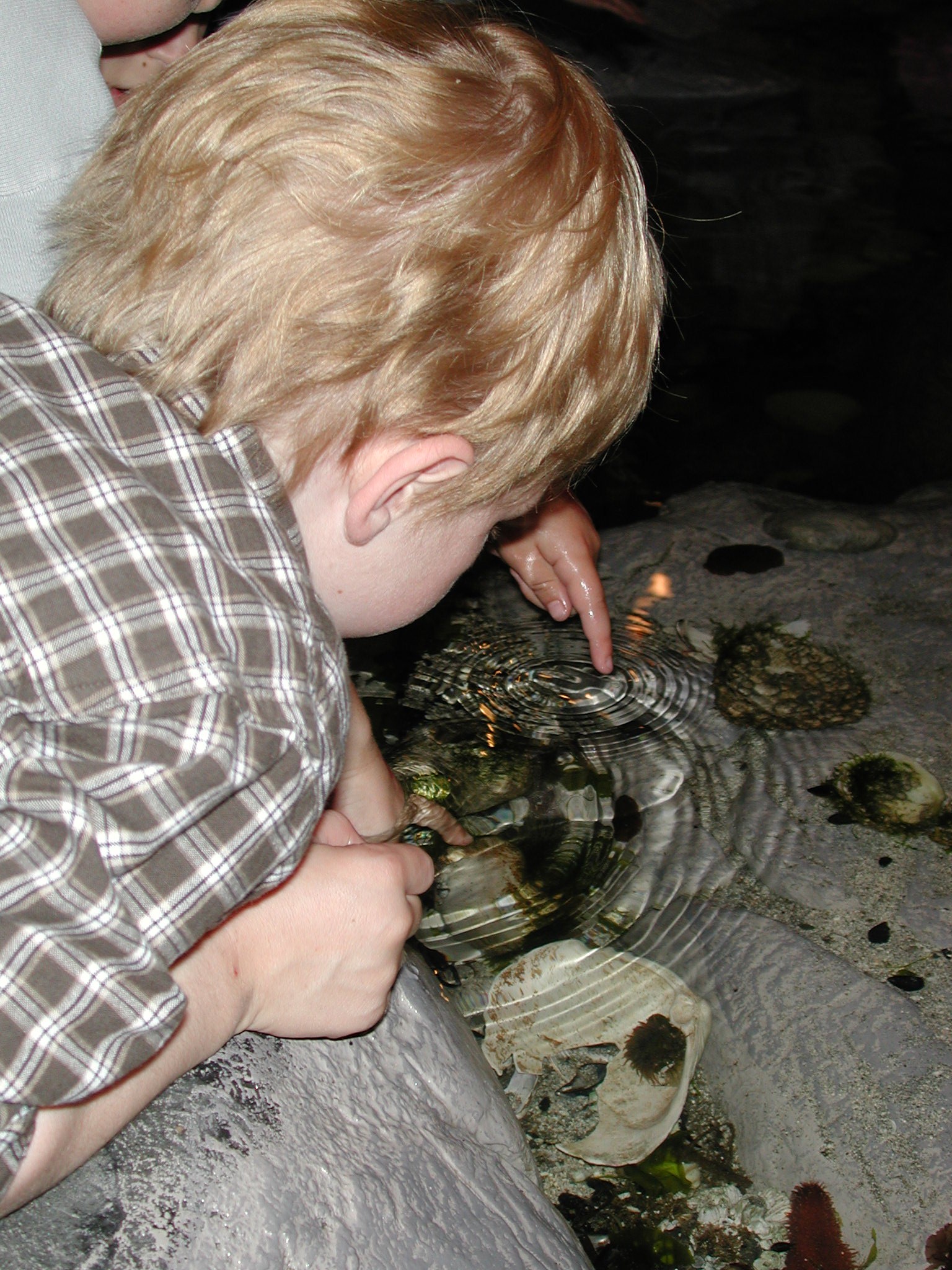 DSCN1882.JPG, 740688 bytes, 8/05/01