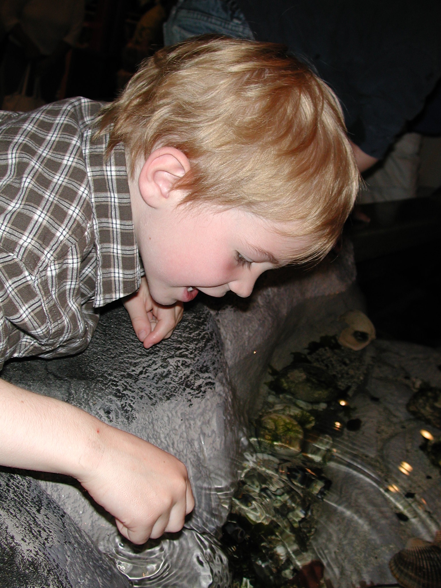 DSCN1883.JPG, 676990 bytes, 8/05/01