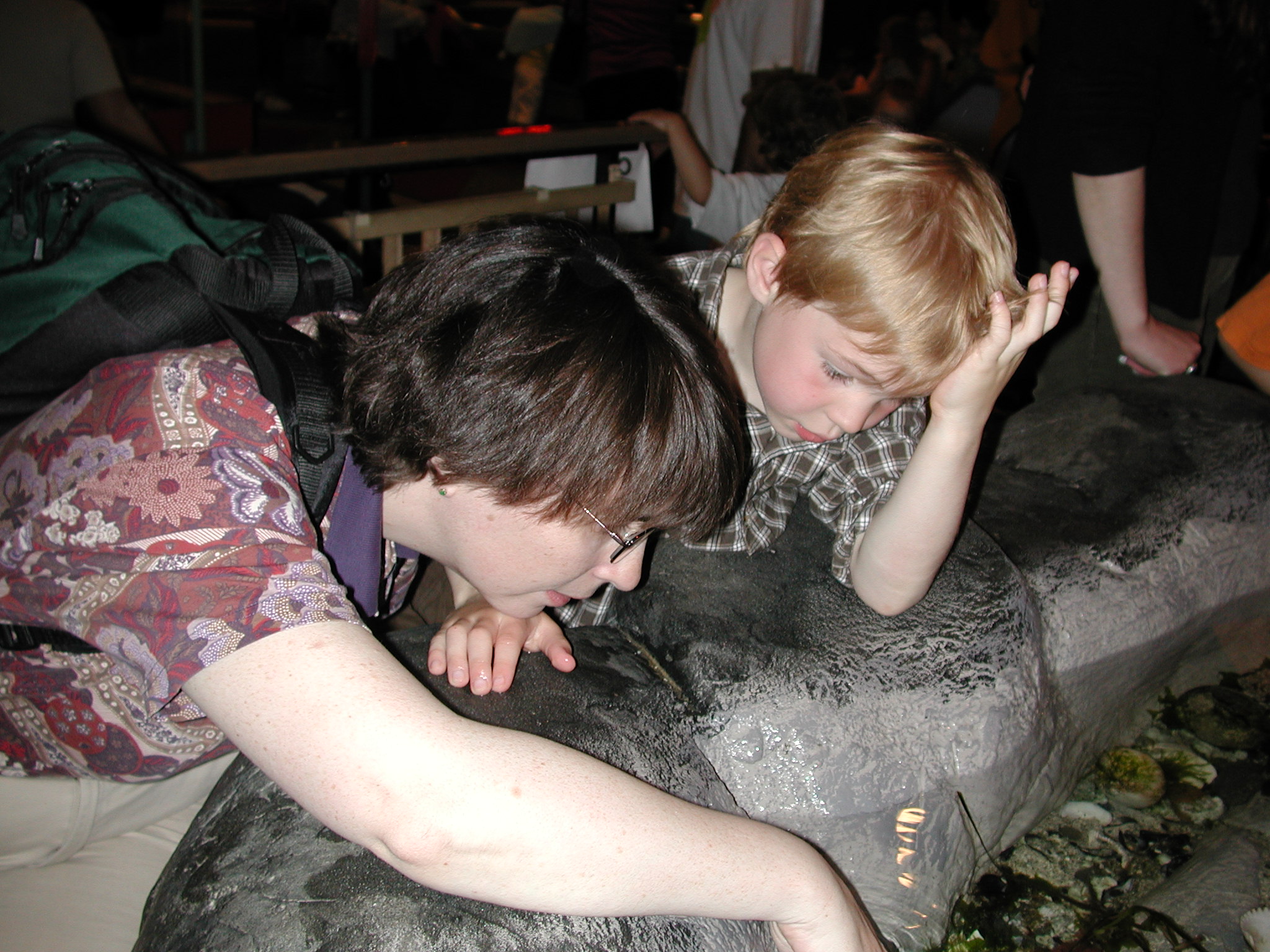 DSCN1884.JPG, 645867 bytes, 6/10/01