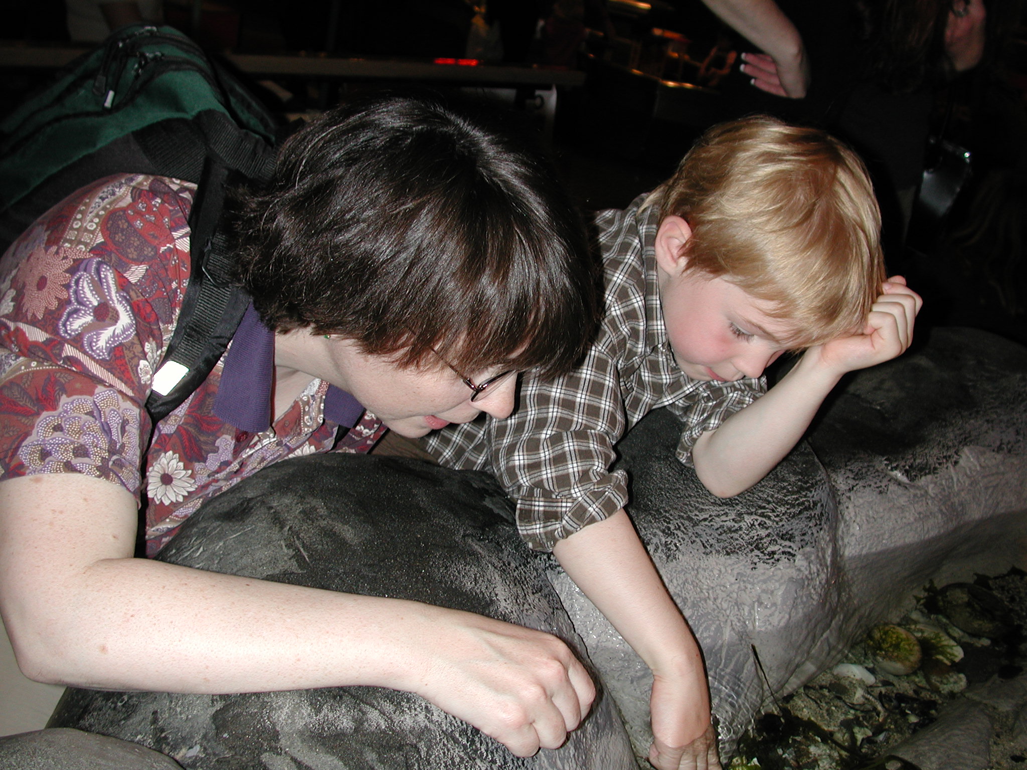 DSCN1885.JPG, 658938 bytes, 6/10/01