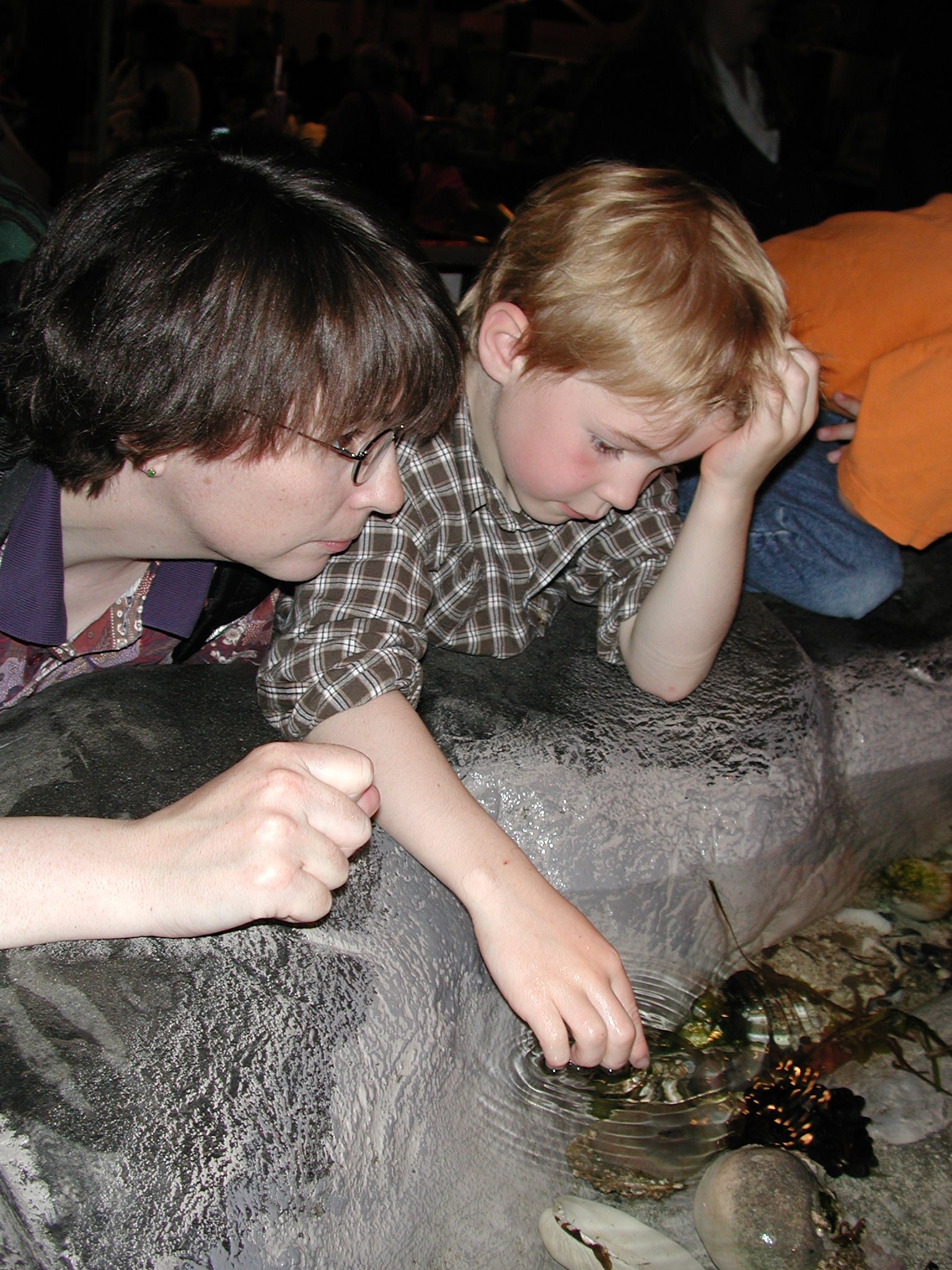 DSCN1887.JPG, 747354 bytes, 8/05/01