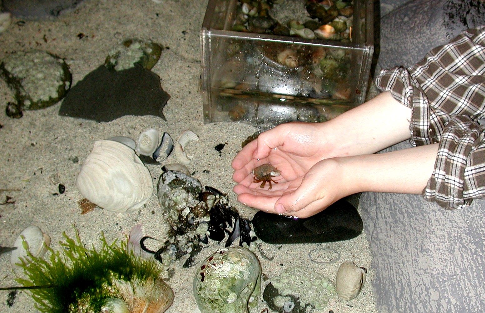 DSCN1889.JPG, 479812 bytes, 8/05/01