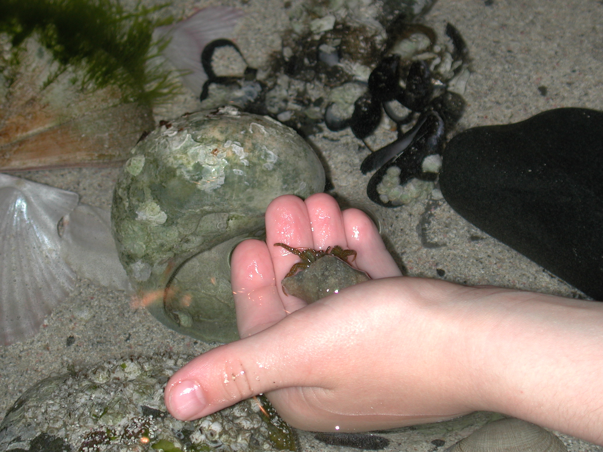 DSCN1891.JPG, 659592 bytes, 6/10/01